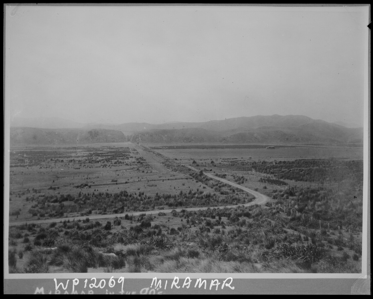 Miramar Avenue (with Ira Street in the foreground), looking towards the Miramar Cutting