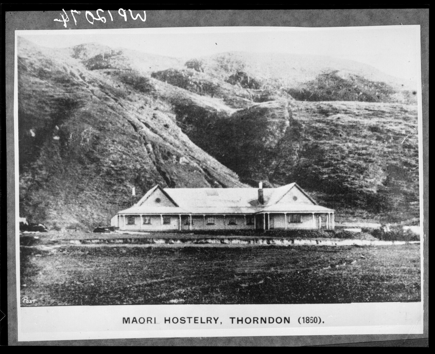 Maori Hostelry, Thorndon