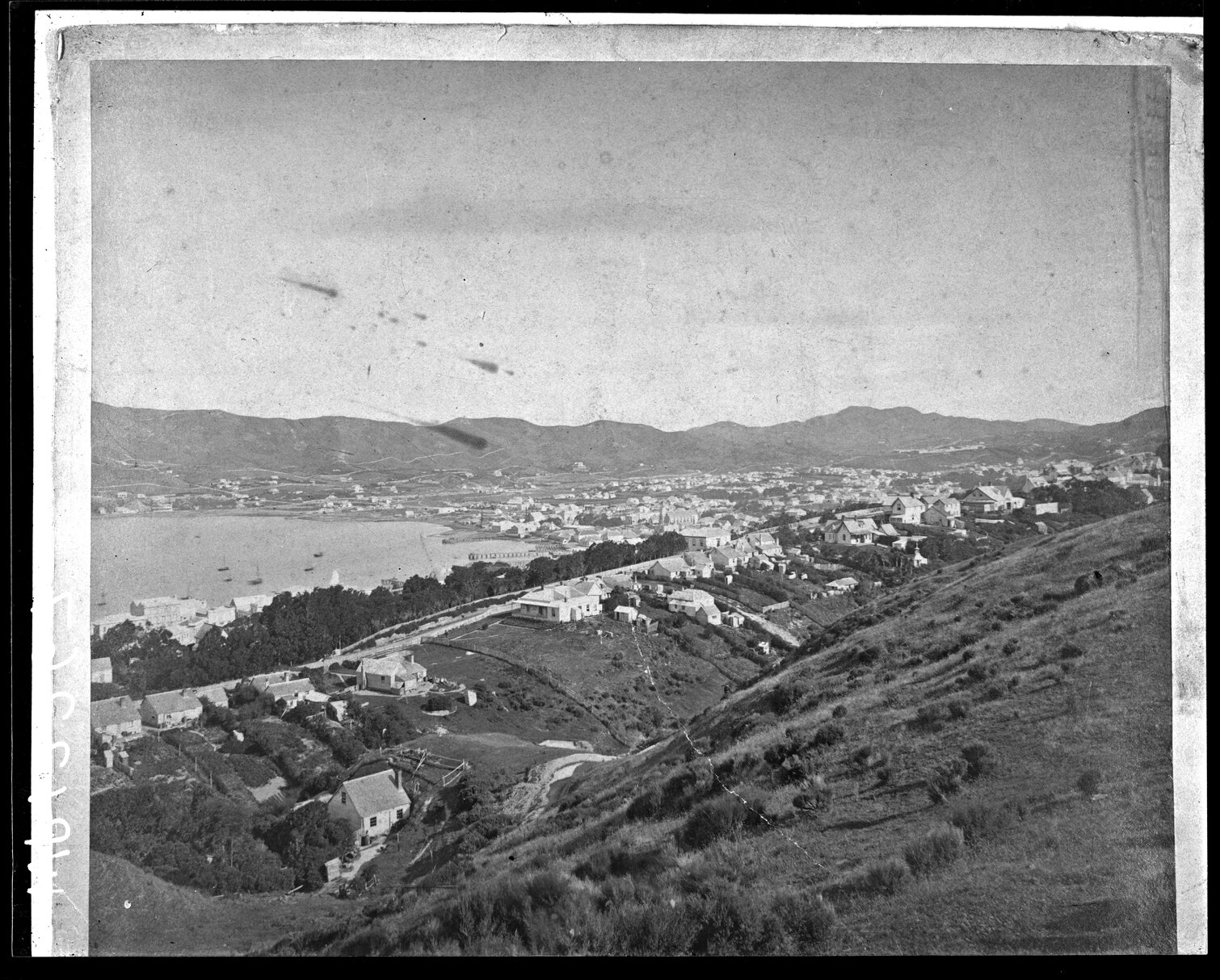 Elevated view of Wellington from above the Terrace