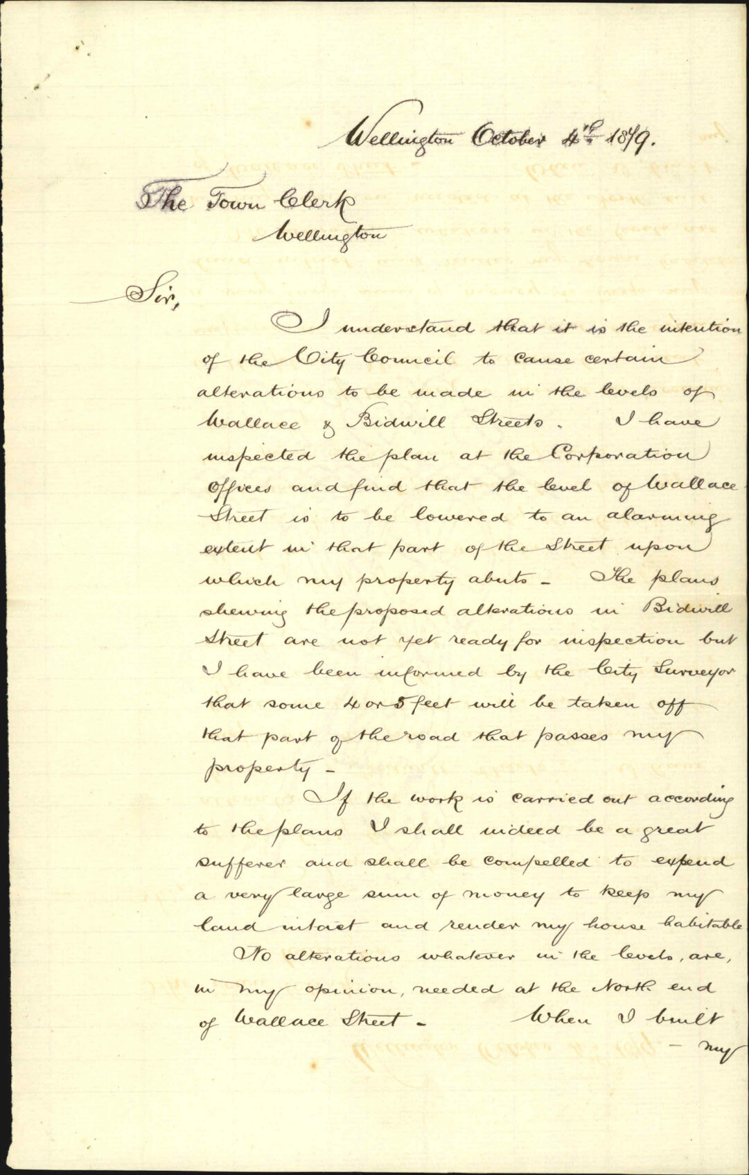 Re requesting the Council do not go ahead with the proposed levelling of Wallace and Bidwill Streets - Frank Wills