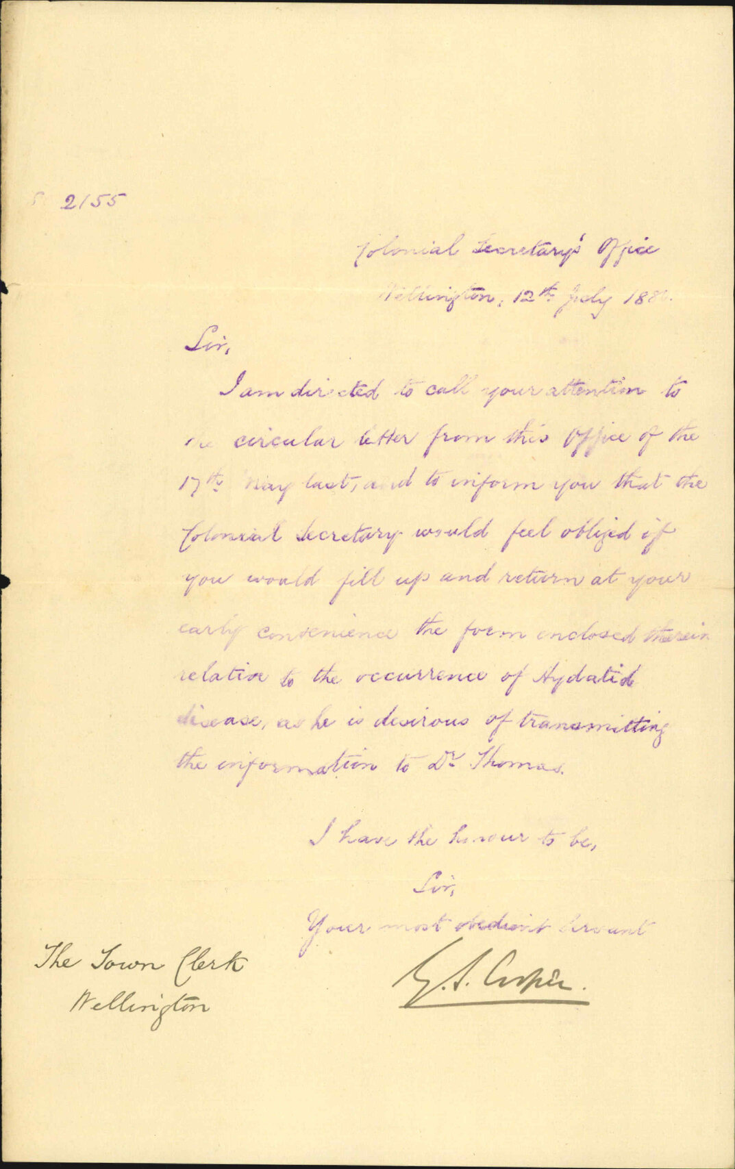 Colonial Secretary's Office, information wanted as to certain Hospital statistics