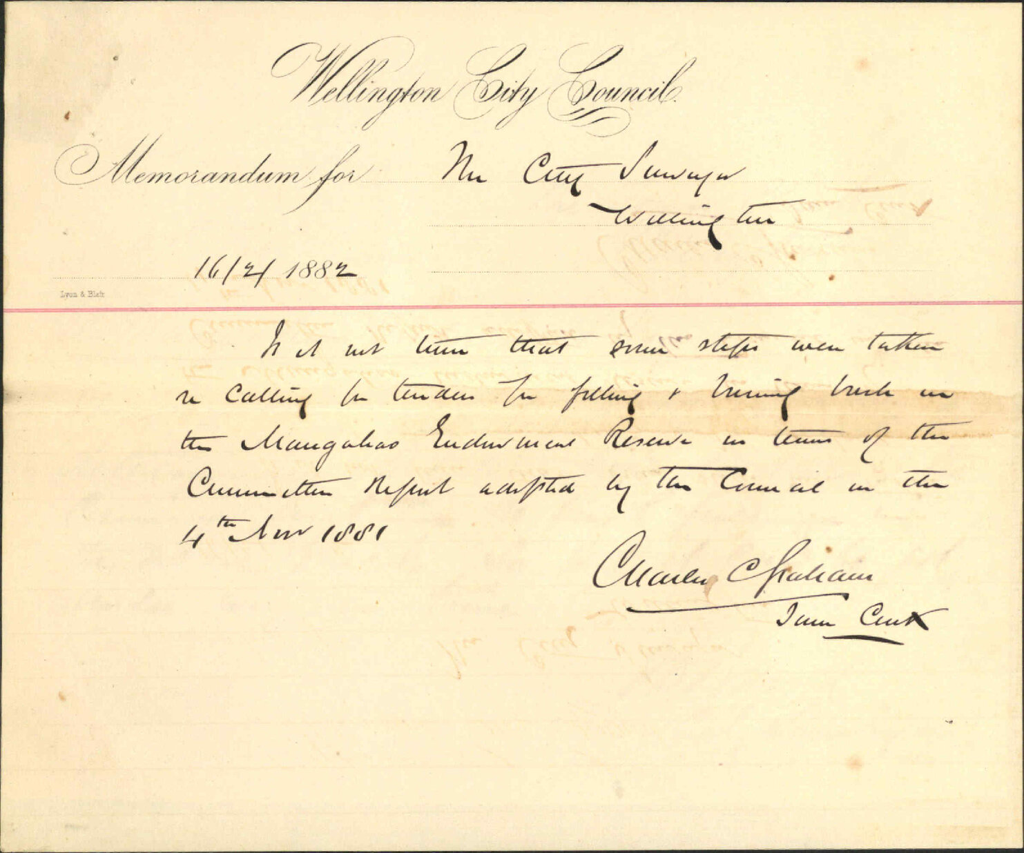 City Surveyor, regarding works at the Mangatino reserve