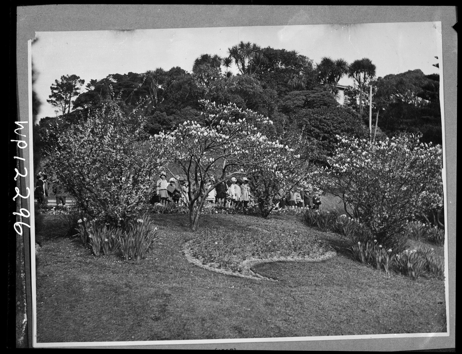 Group of children at the Botanic Gardens