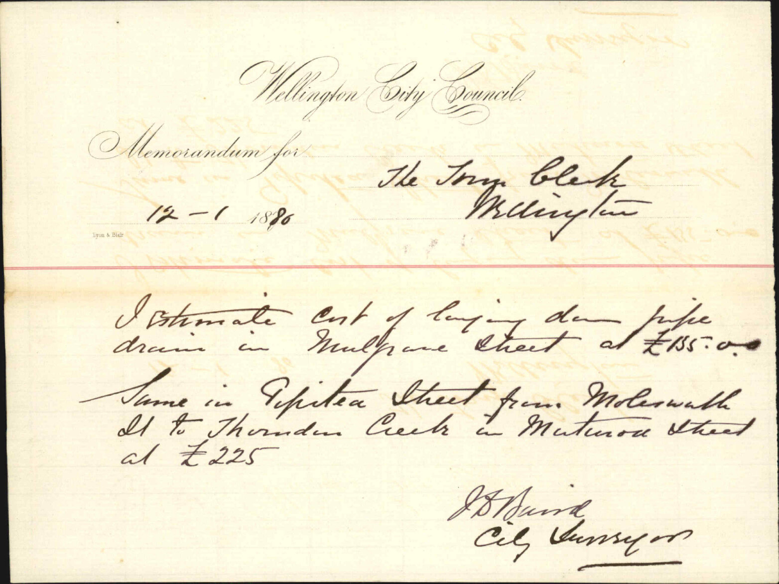 City Surveyor, drainage of Molesworth and Mulgrave Streets