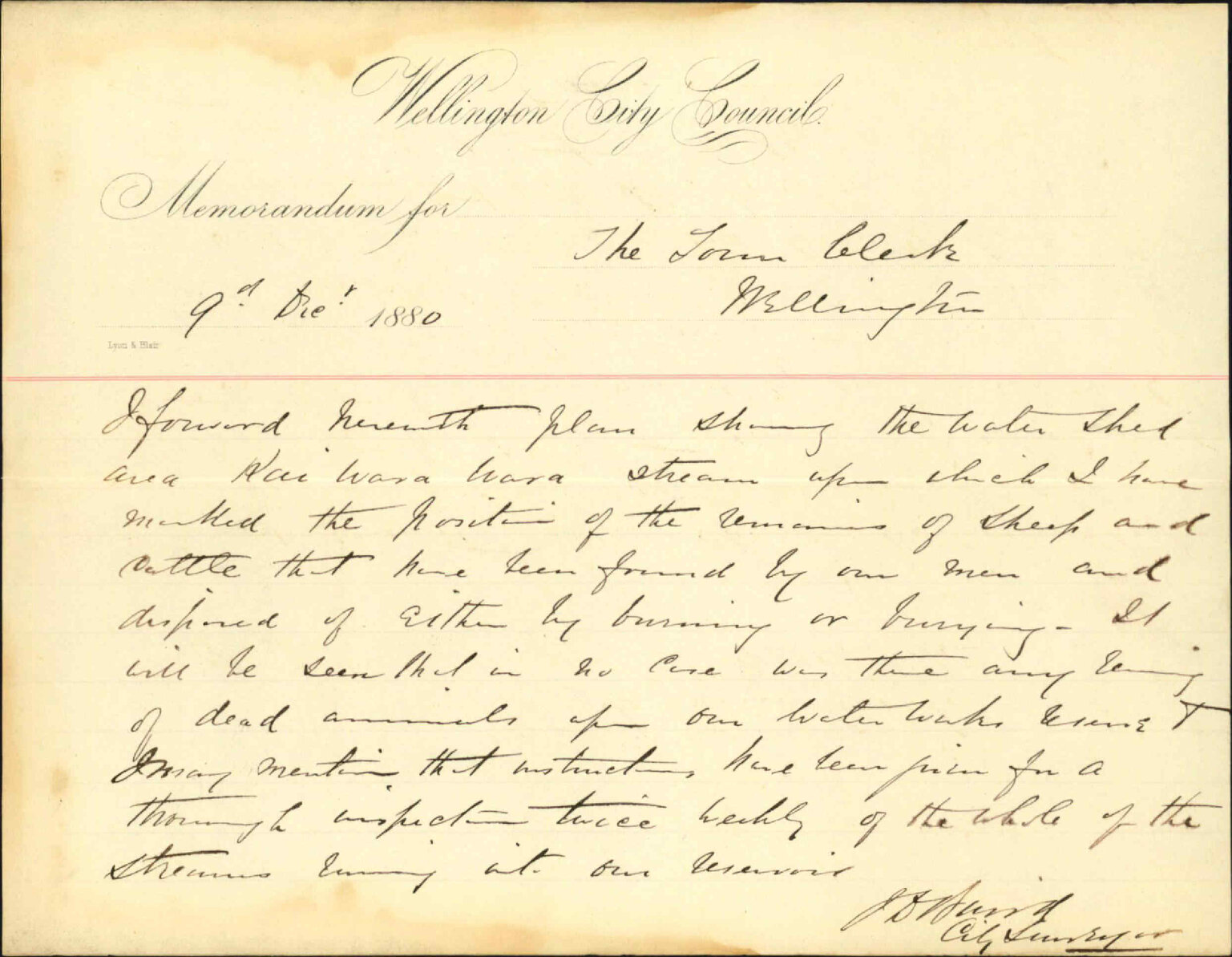 City Surveyor, report as to state of Kaiwarra stream and reservoir