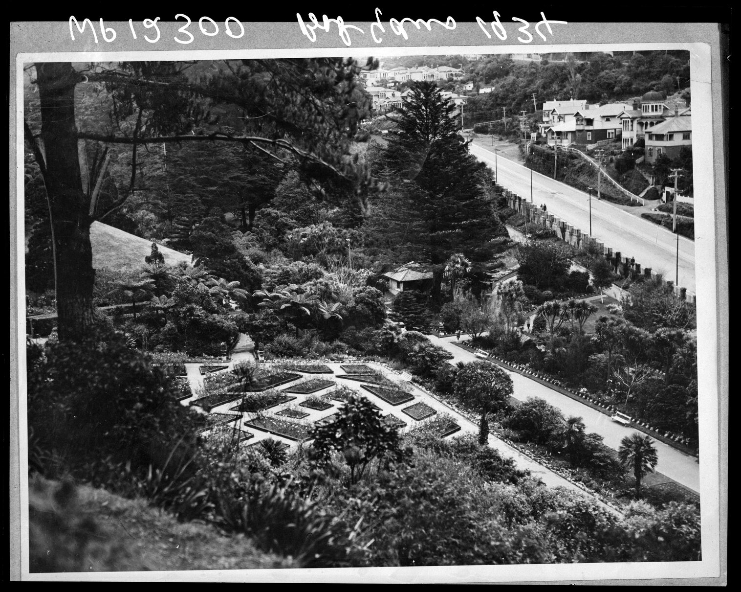 Elevated view of formal garden, Glenmore Street, Botanic Gardens