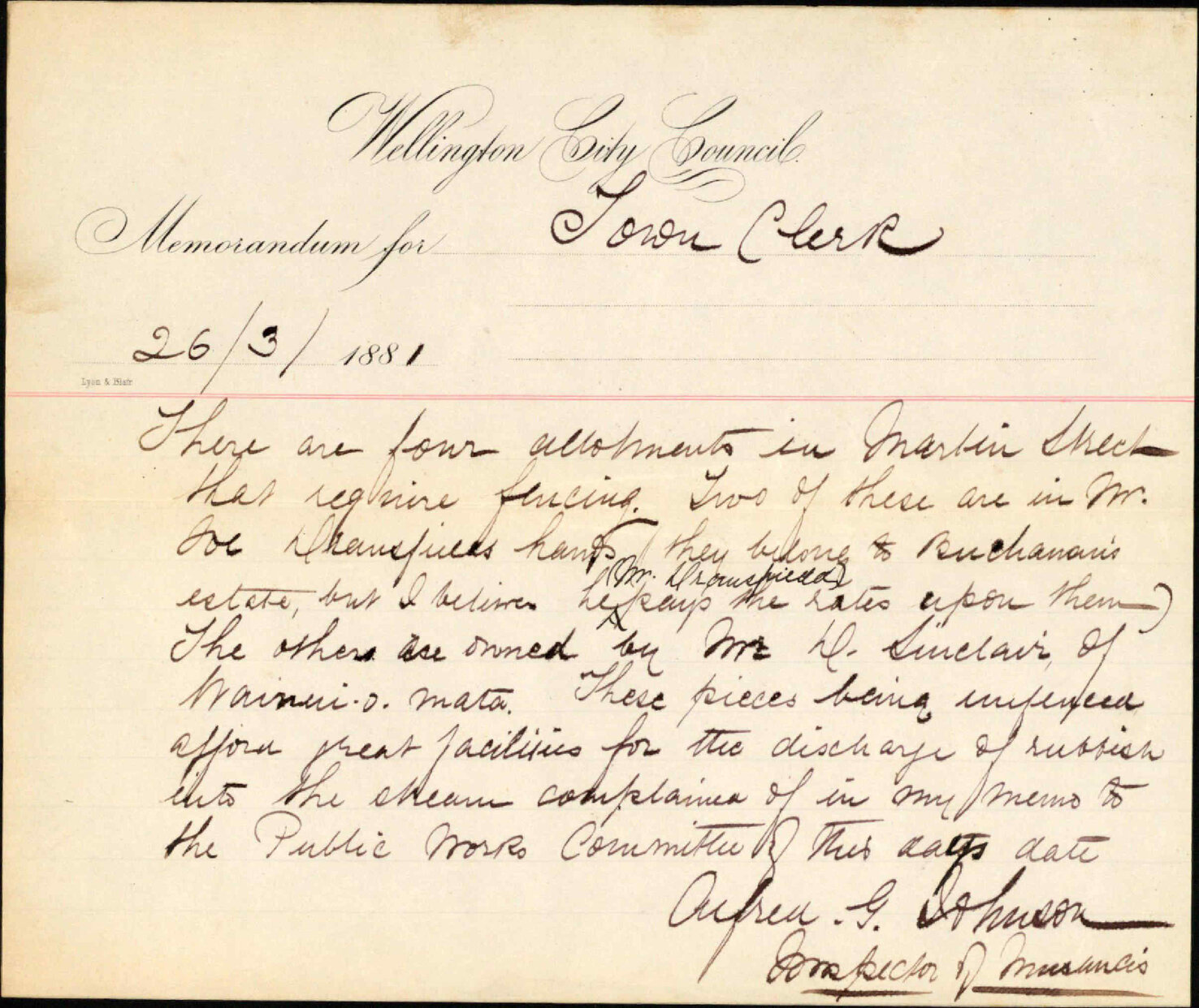 Inspector of Nuisances, further regarding unformal allotments, Martin Street