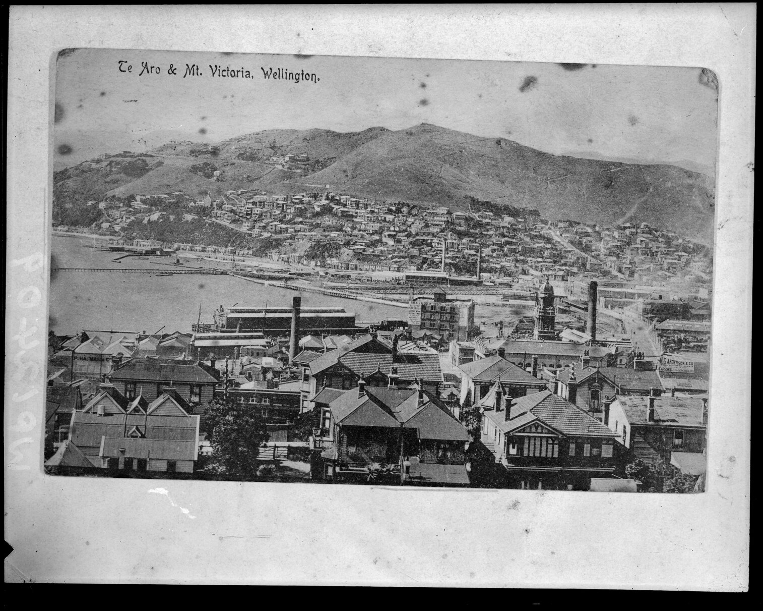 Elevated view of Te Aro to Mount Victoria, from the Terrace