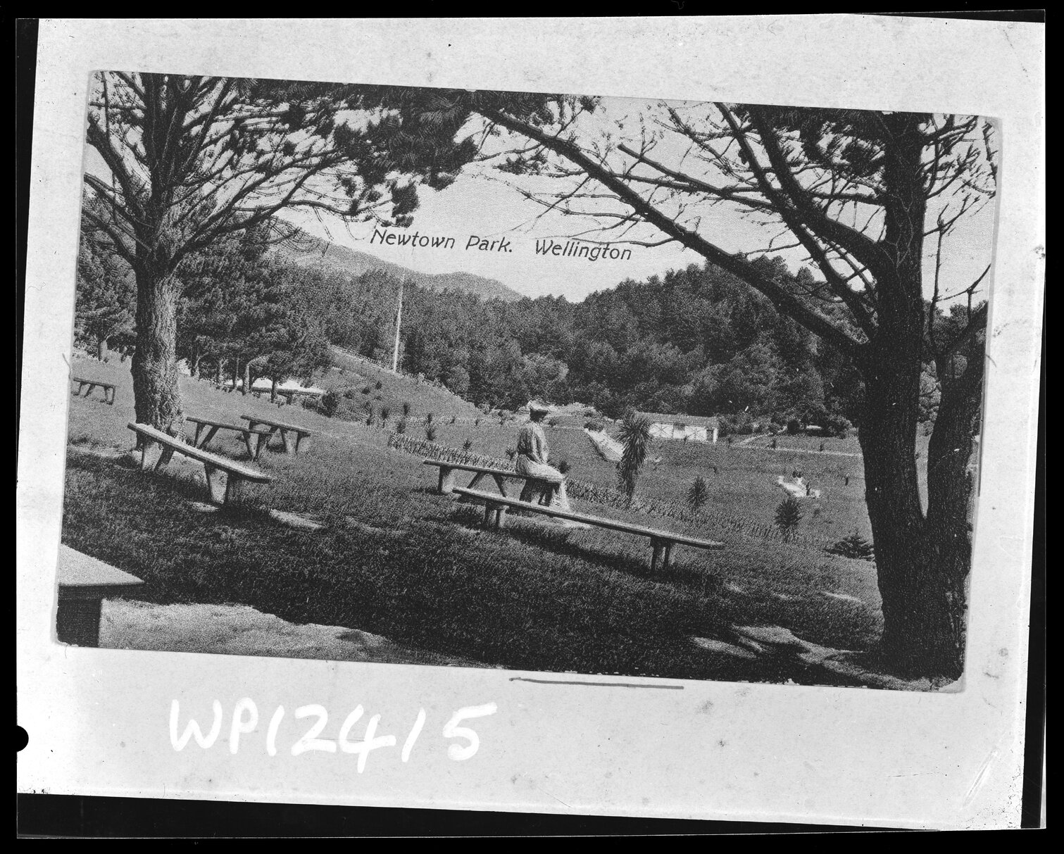 Overlooking Newtown Park