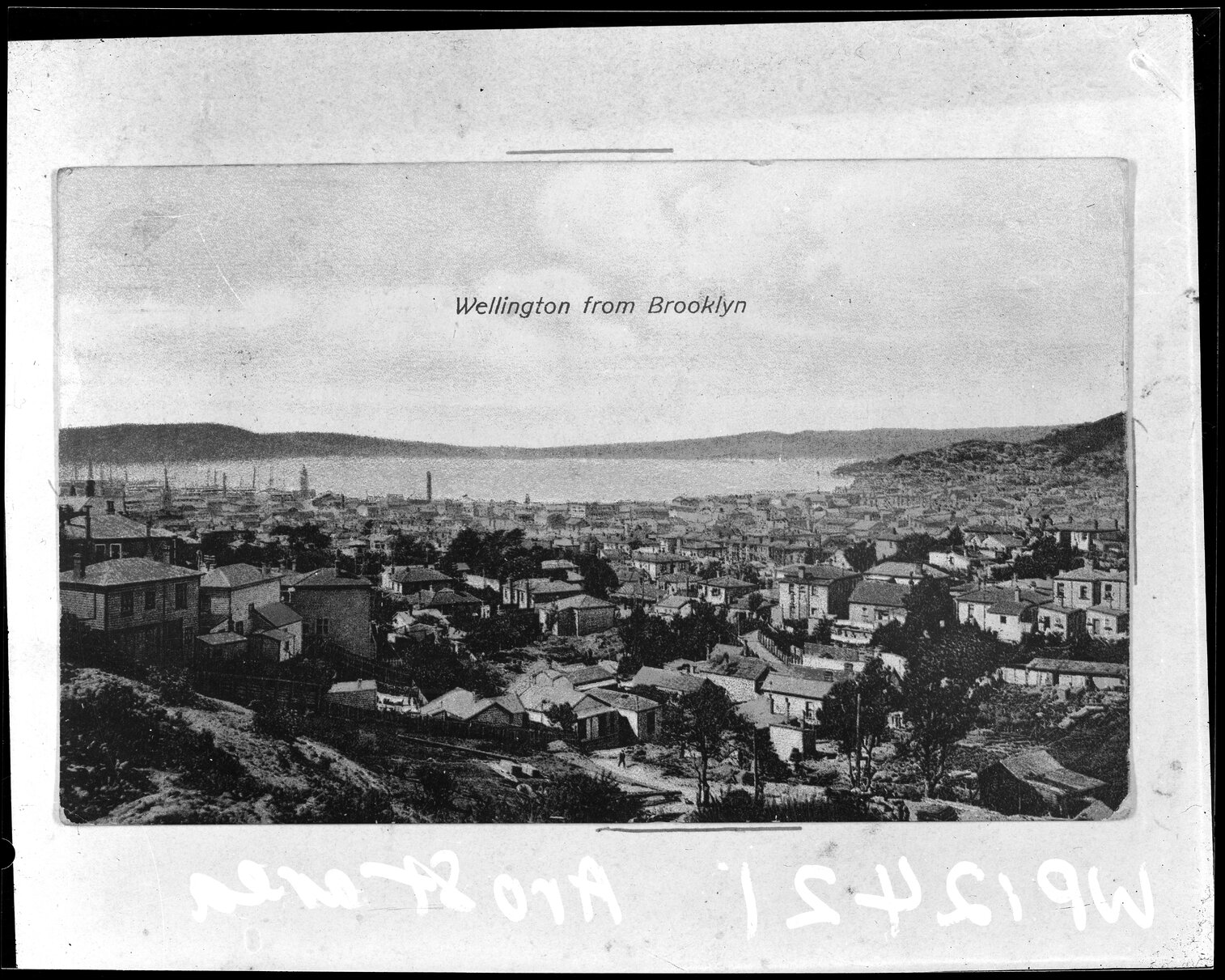 Elevated view of Wellington, from Brooklyn