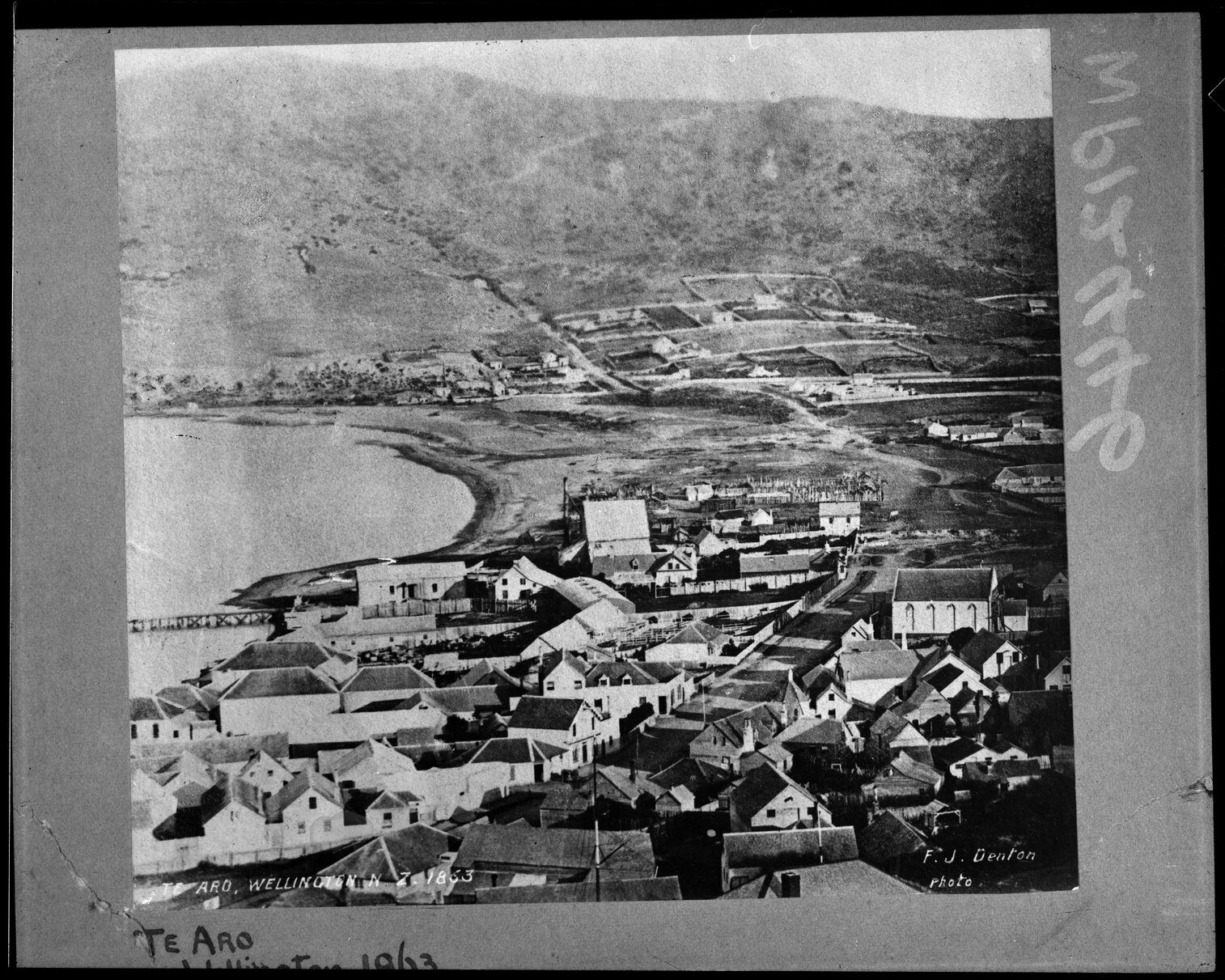 Elevated view of Te Aro and Mount Victoria