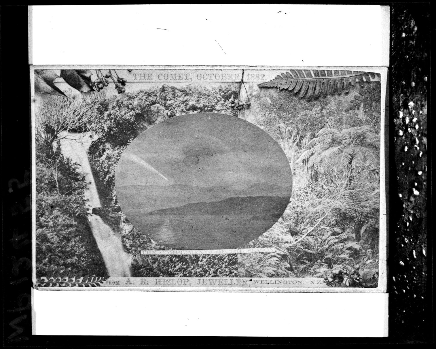 The Comet over Wellington Harbour '