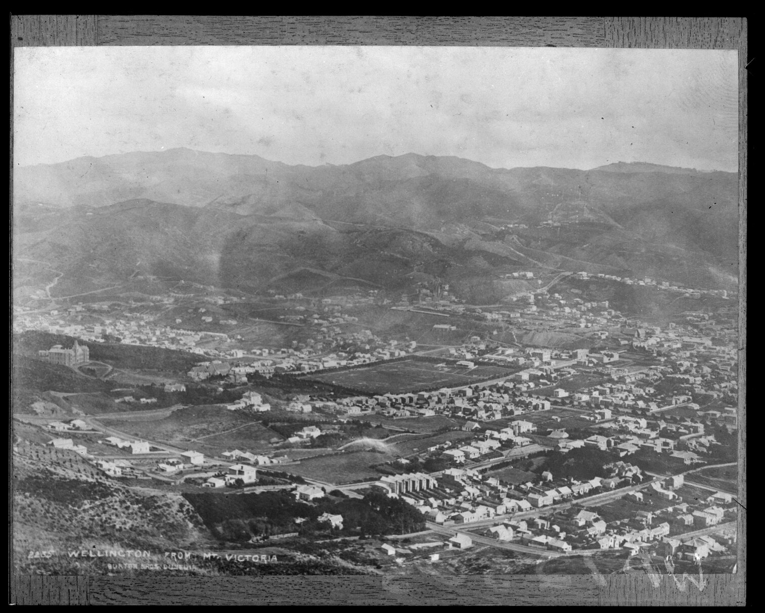 Wellington from Mount Victoria