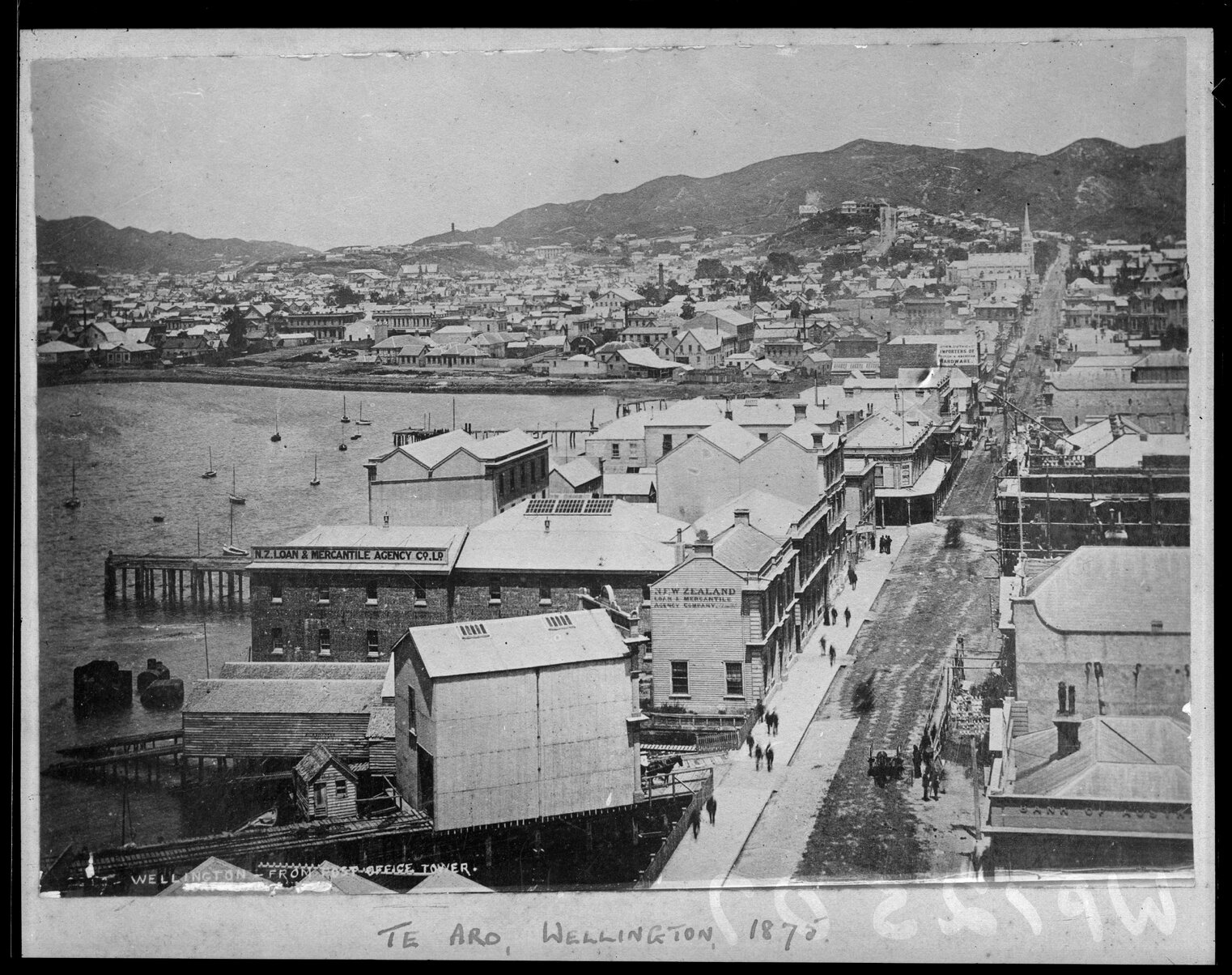 Wellington from the Post Office Tower