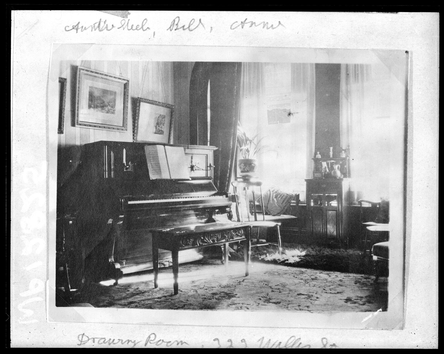 Drawing Room, 323 Willis Street
