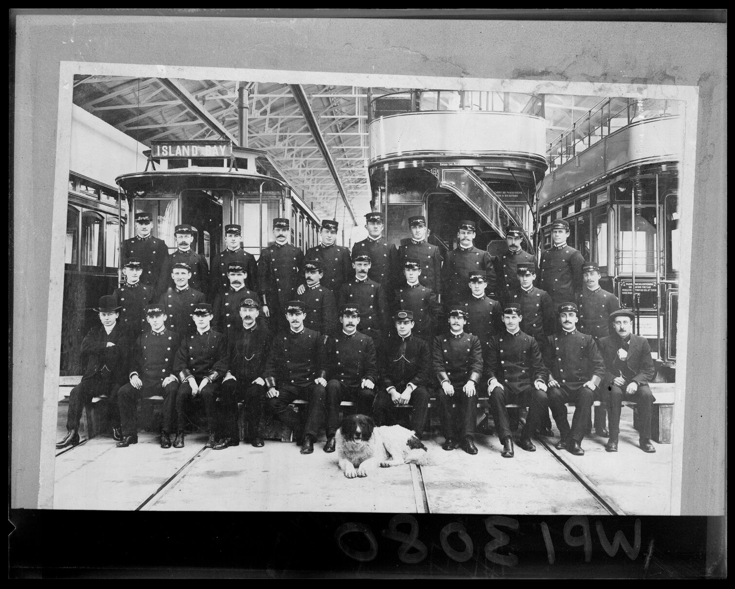 Wellington Corporation Tramways staff