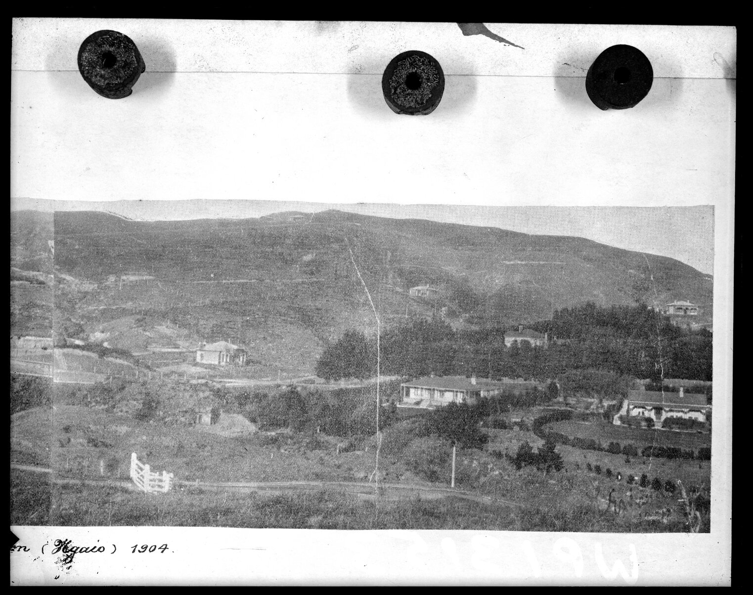 Elevated view of Crofton / Ngaio