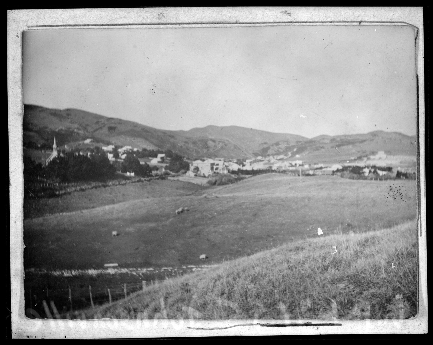 Johnsonville, mostly undeveloped land