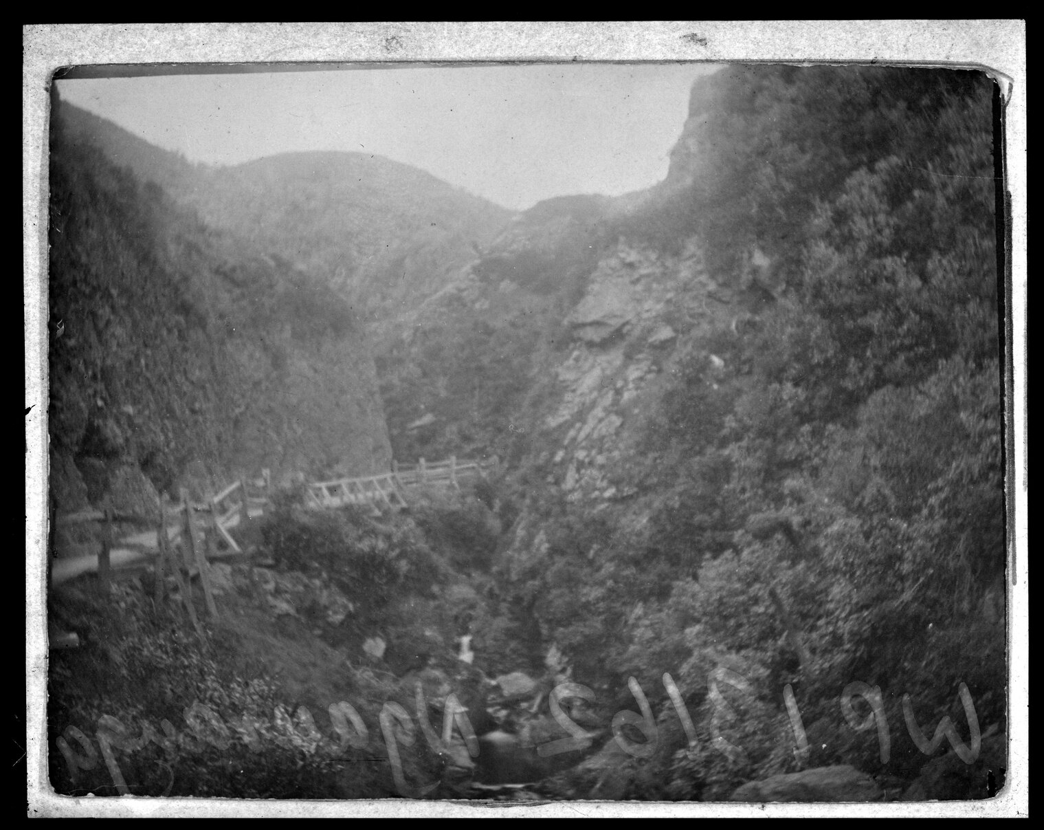 Ngauranga Gorge