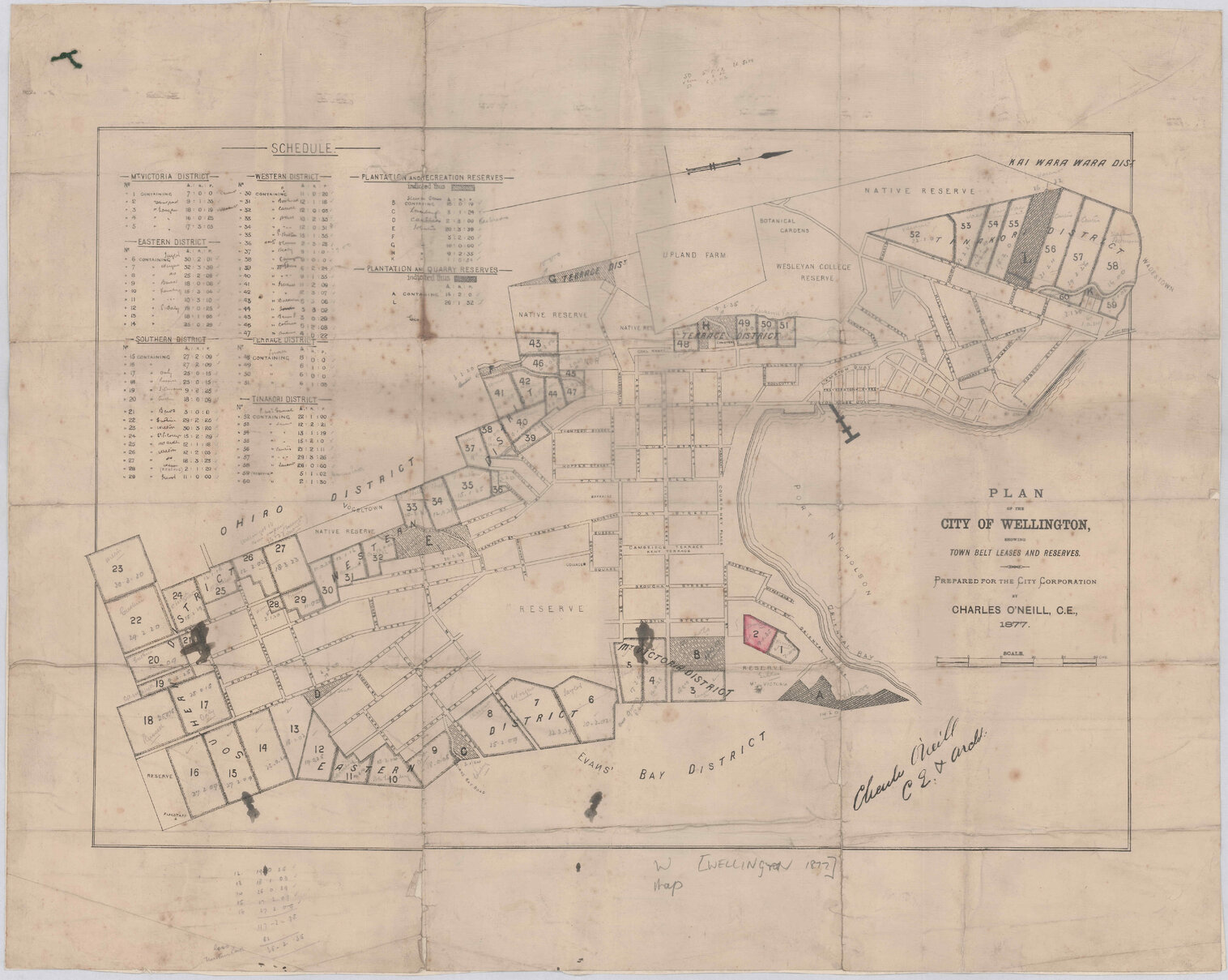 Plan of the City of Wellington showing Town Belt leases and reserves