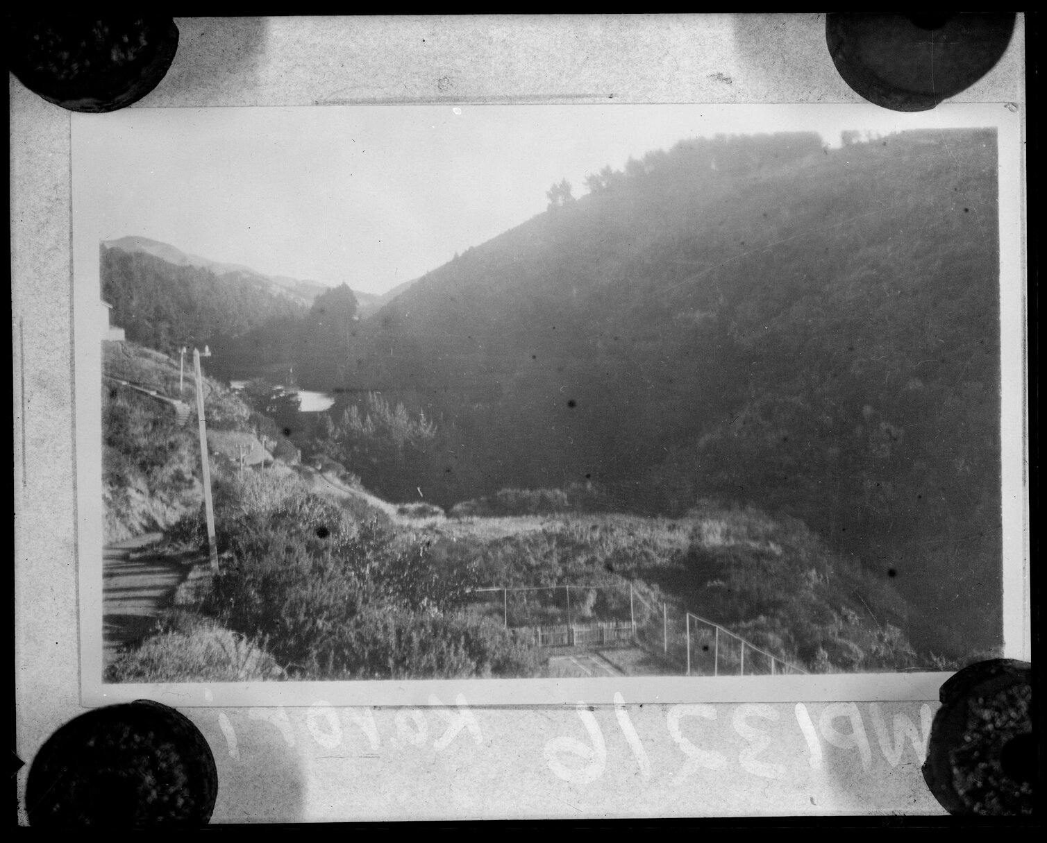 Karori Reservoir, looking up gully to lower dam