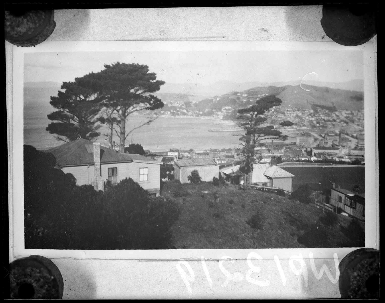 Elevated view of Kelburn from top of Cable Car, with harbour in background