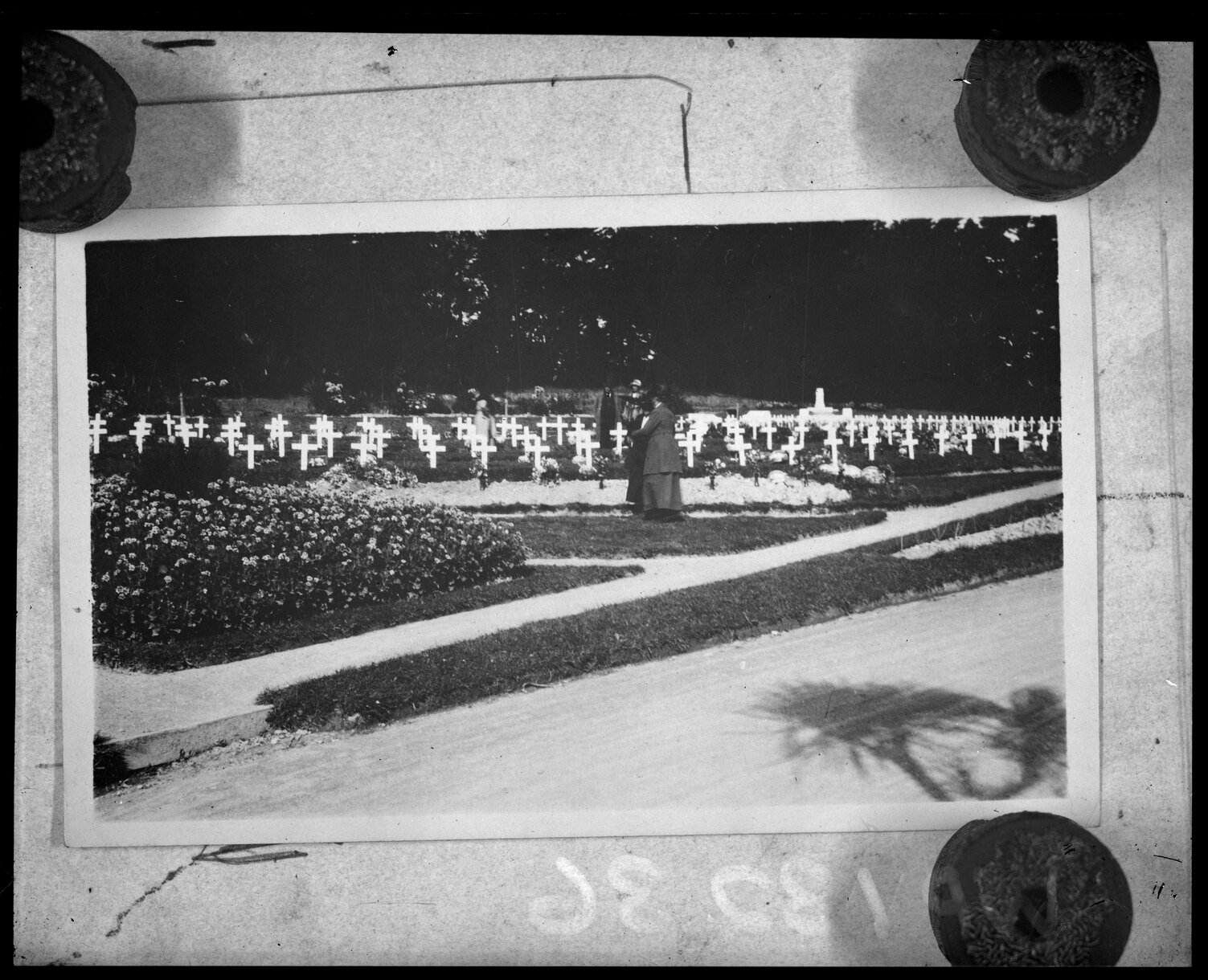 White crosses, Soldiers' Cemetery, Karori Cemetery