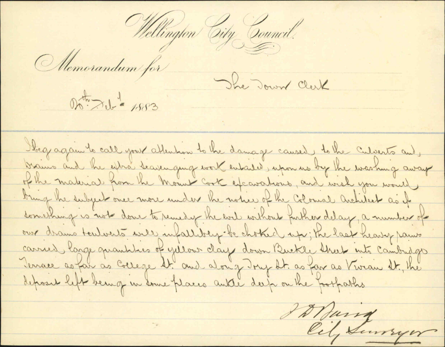Damage by debris from Mount Cook prison - City Surveyor