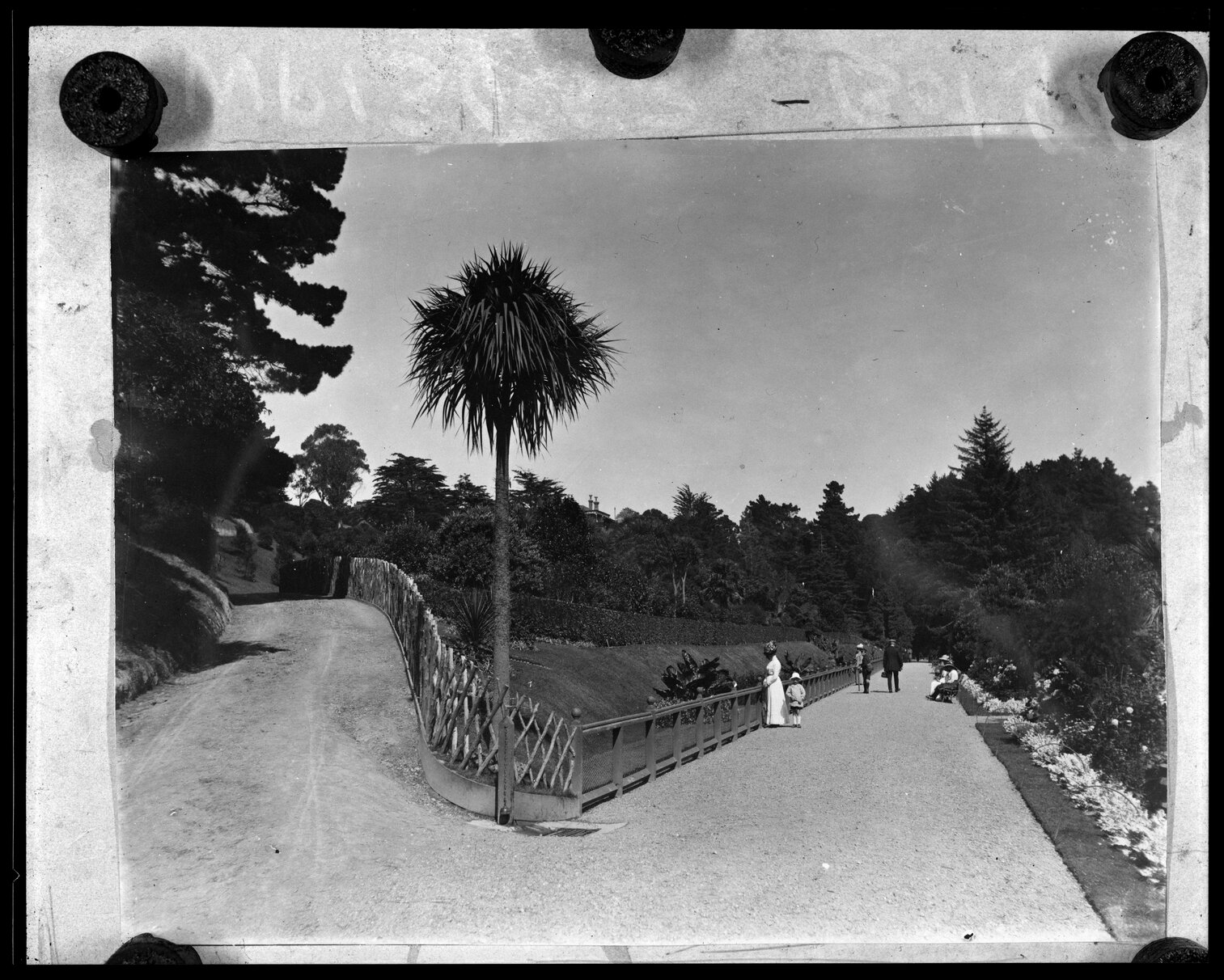 Botanic Garden, people walking along pathway