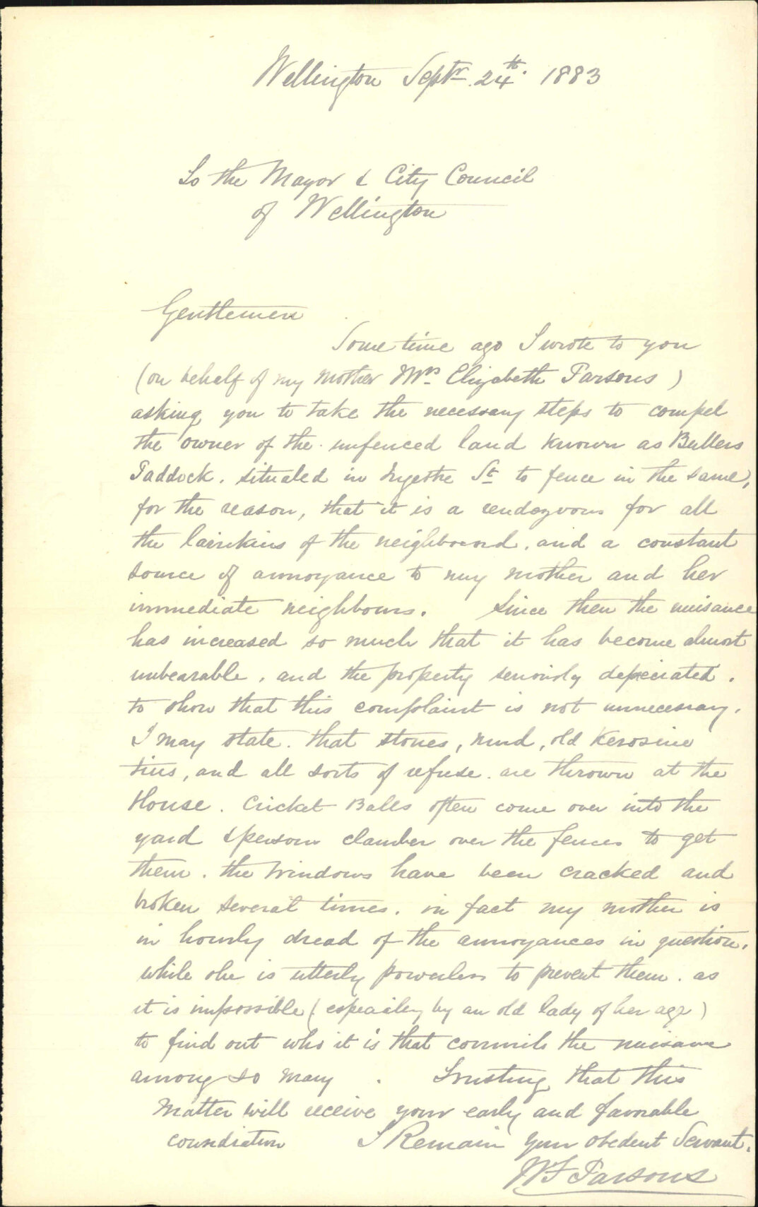 Unfenced section, Buller Street - W J Parson