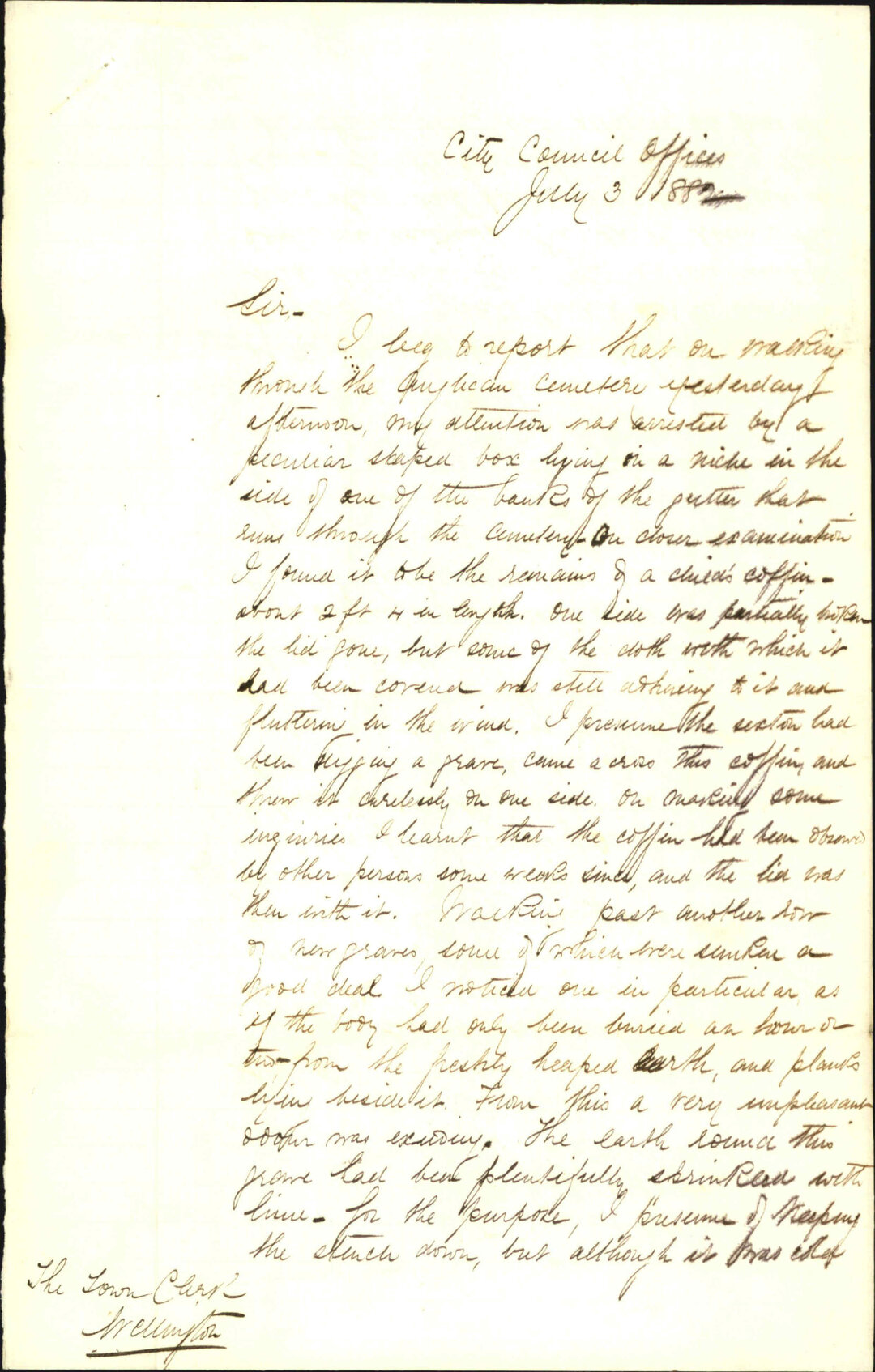 Report as to state of cemetery - Inspector of Nuisances