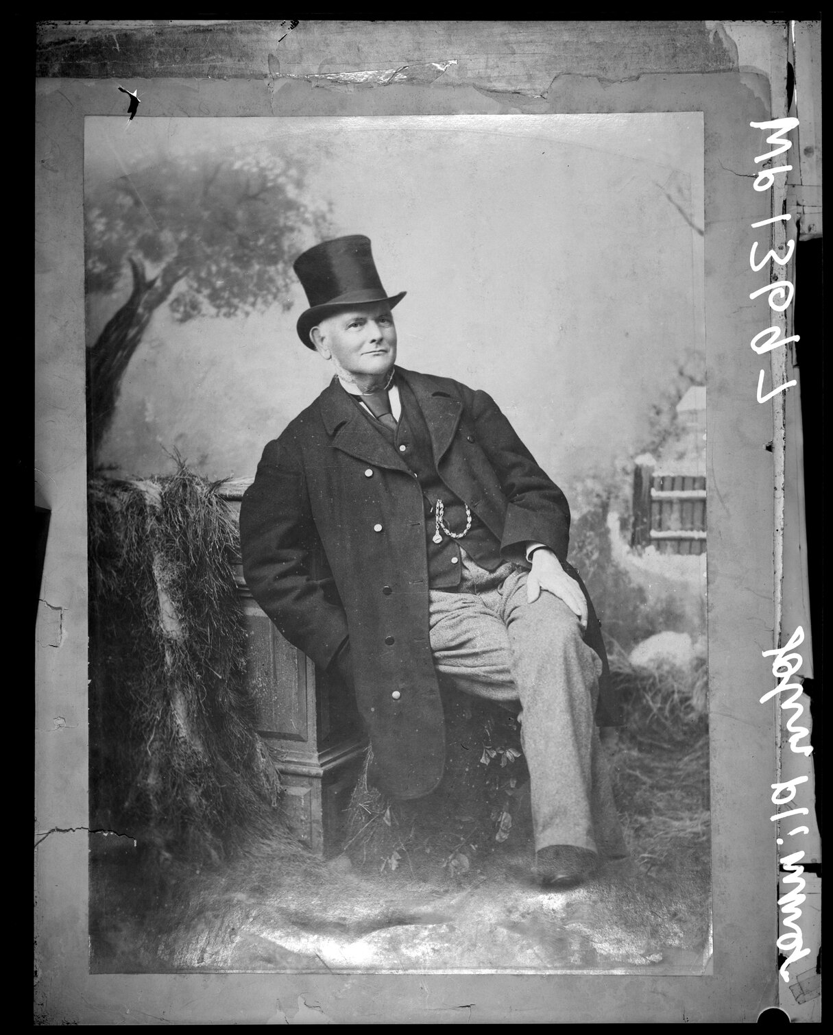 John Plimmer (1812-1905)