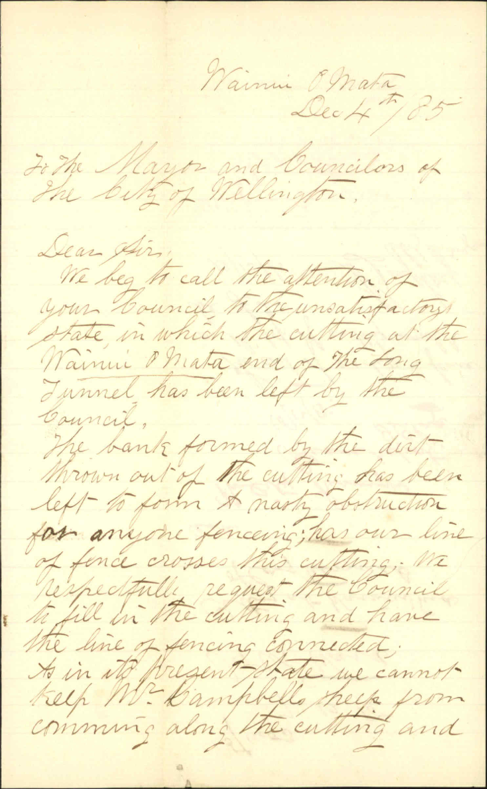 Cutting at Wainui, end of long tunnel - John and William Ward