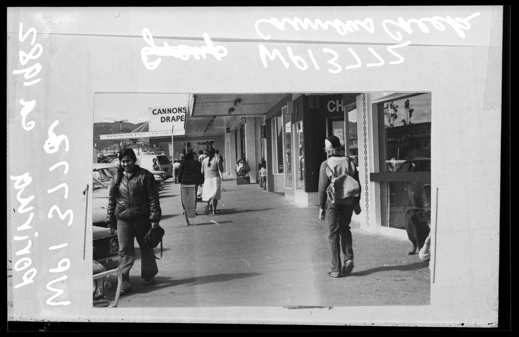 Street view, Cannons Creek, Porirua