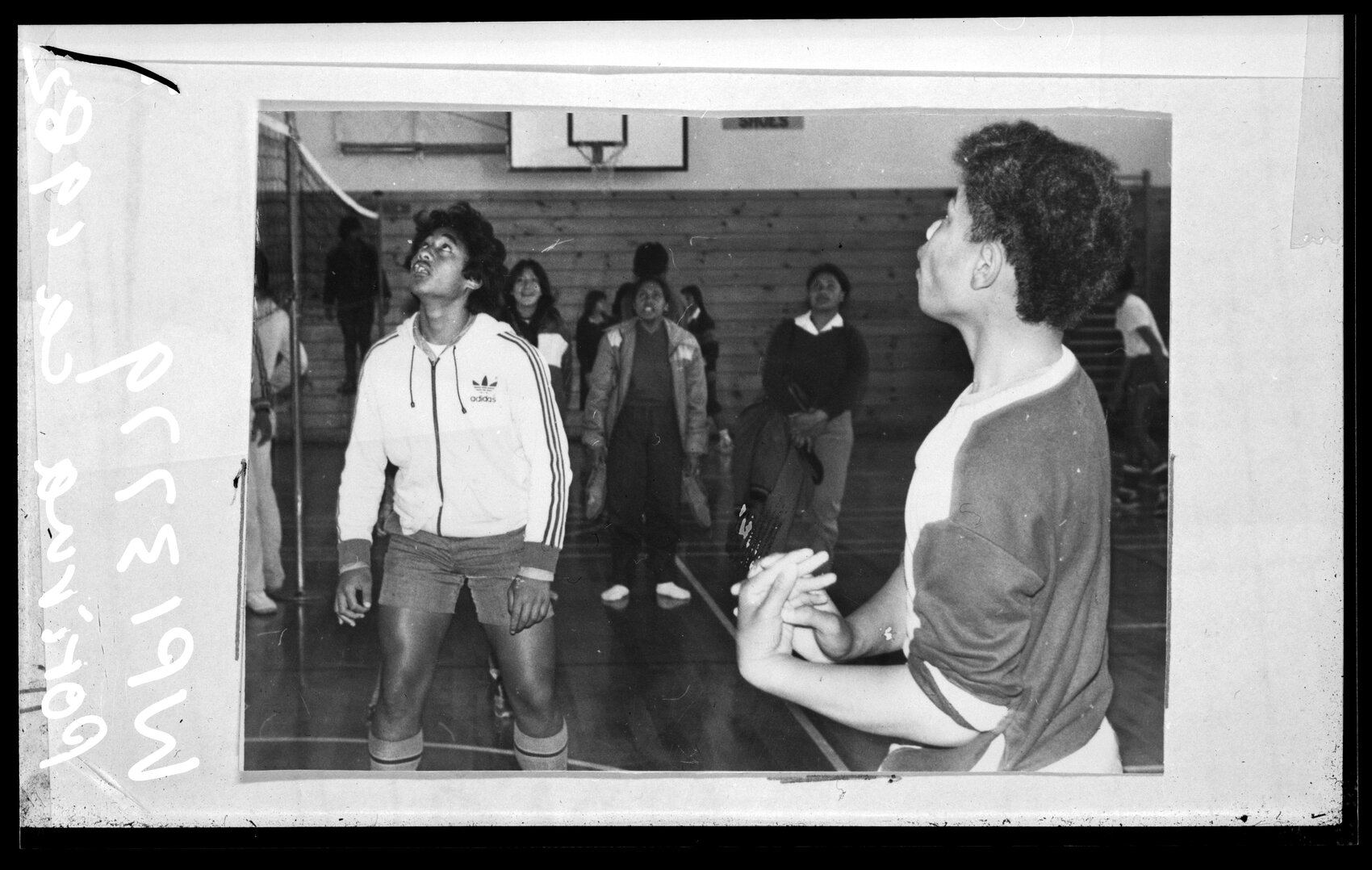Group playing sports, Porirua