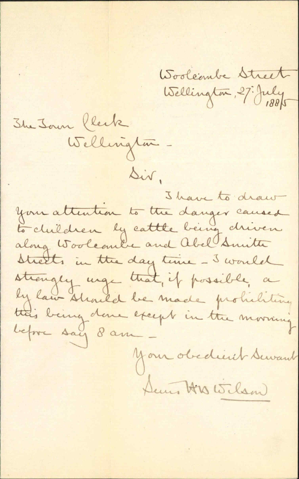 Cattle driving through the streets - H B Wilson