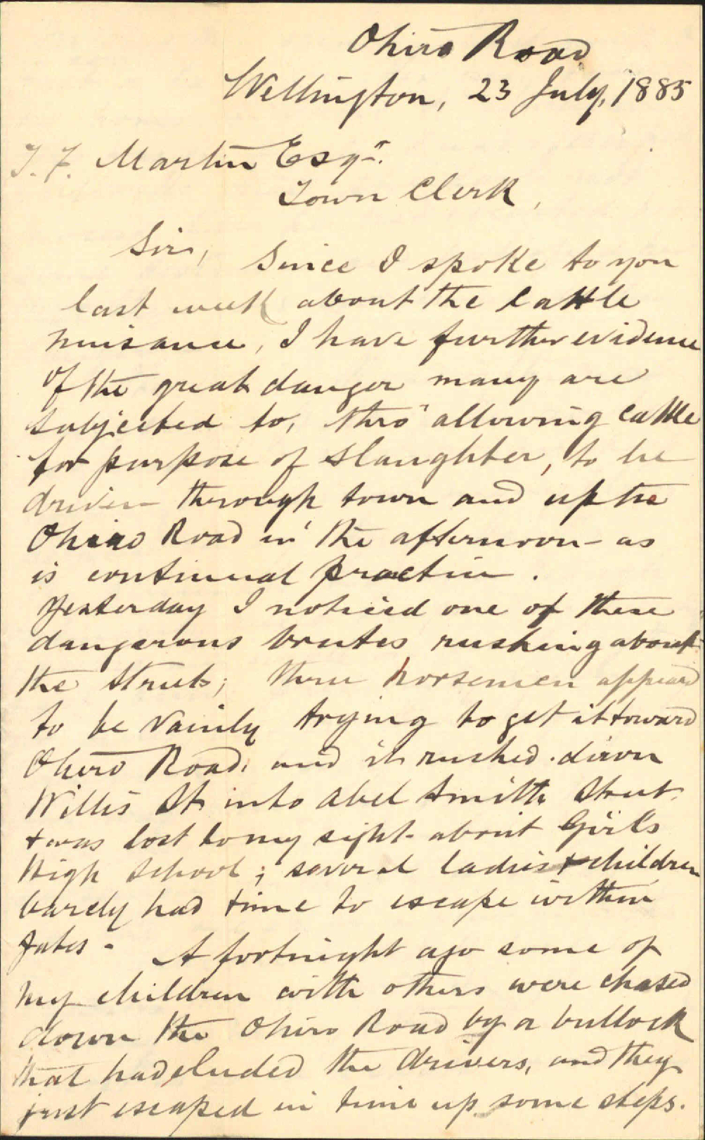 Cattle driving through the streets - J W Shaw