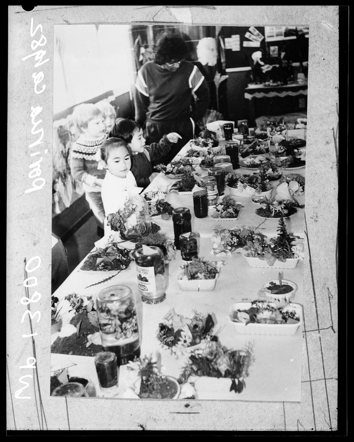 Primary School Students in Classroom, Porirua