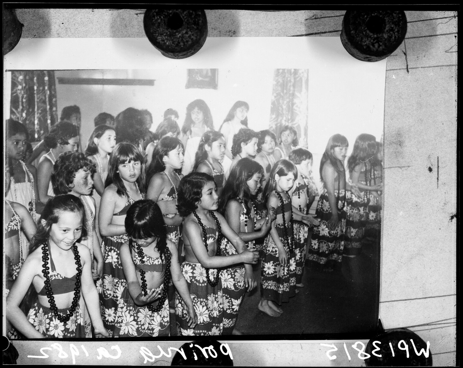 Pacific Island Cultural Performance, Porirua