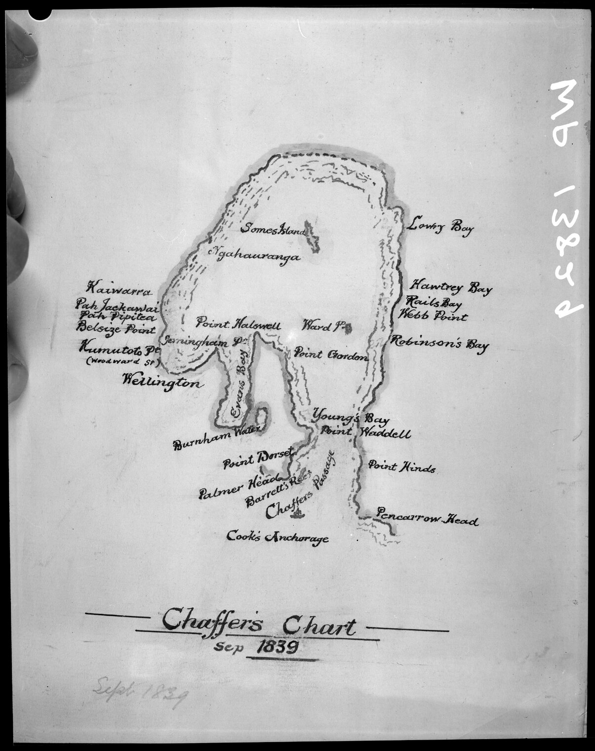 Captain Chaffers Chart, of Port Nicholson