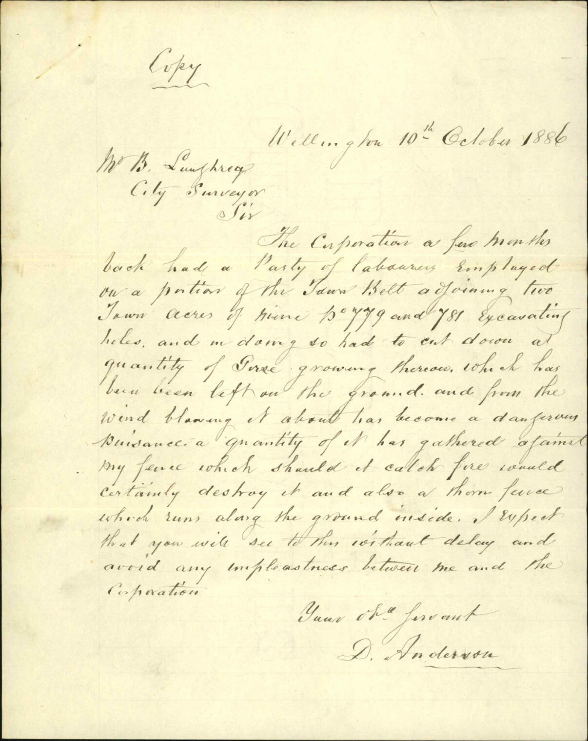 Gorse on Town Belt (complaint against City Surveyor) - D Anderson