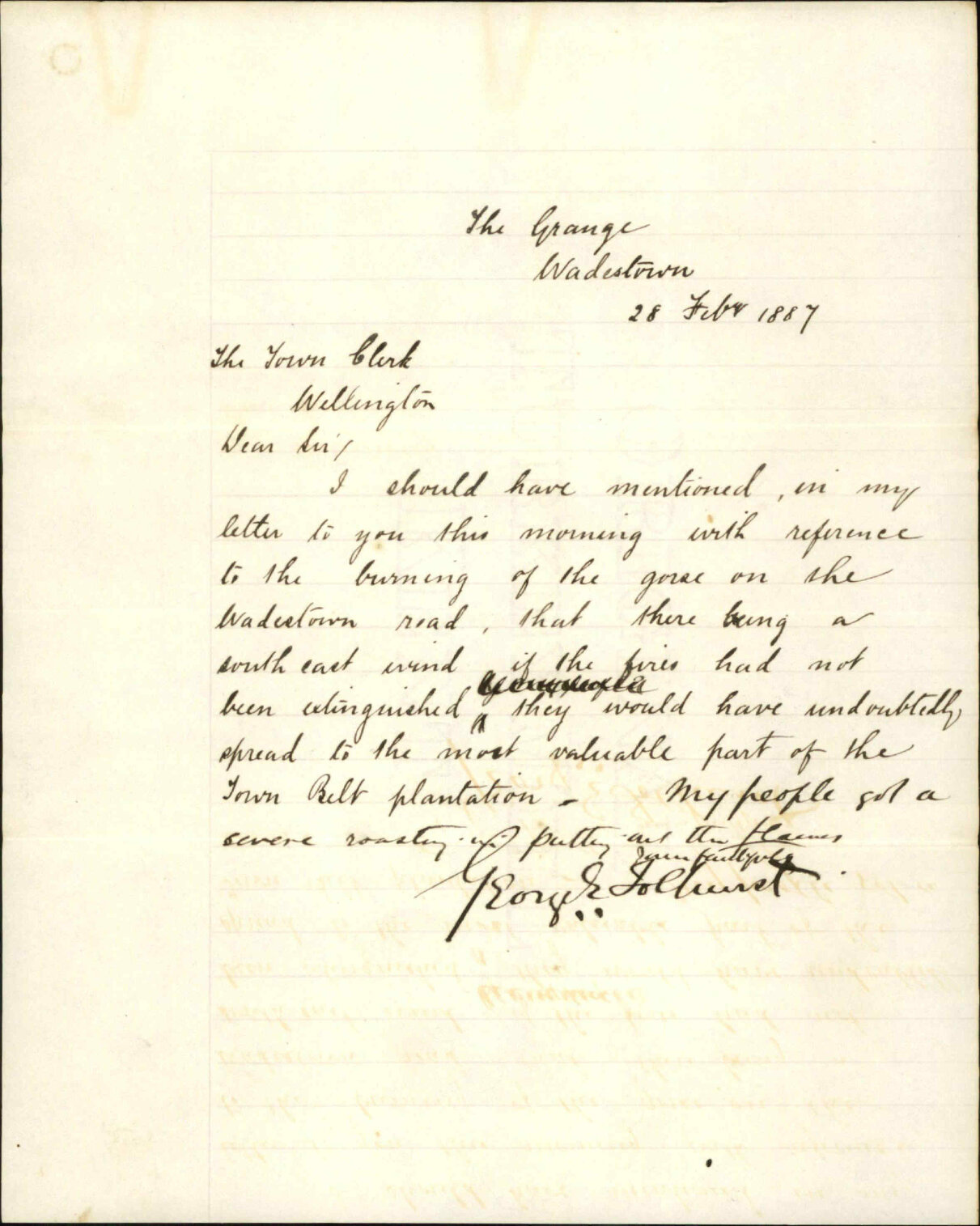 Gorse, Wadestown Road and water supply - George E Tolhurst