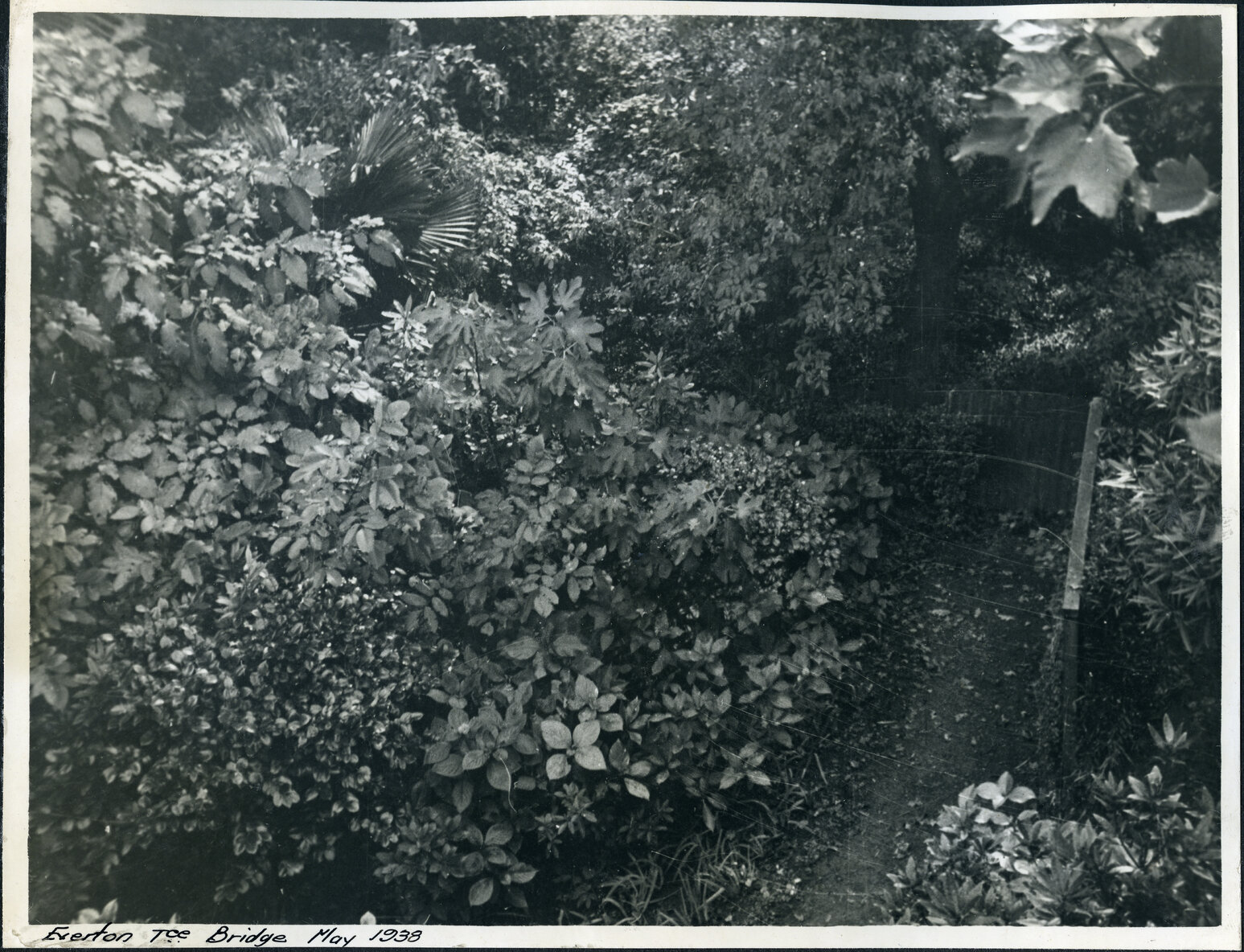 View from Everton Terrace bridge into gully