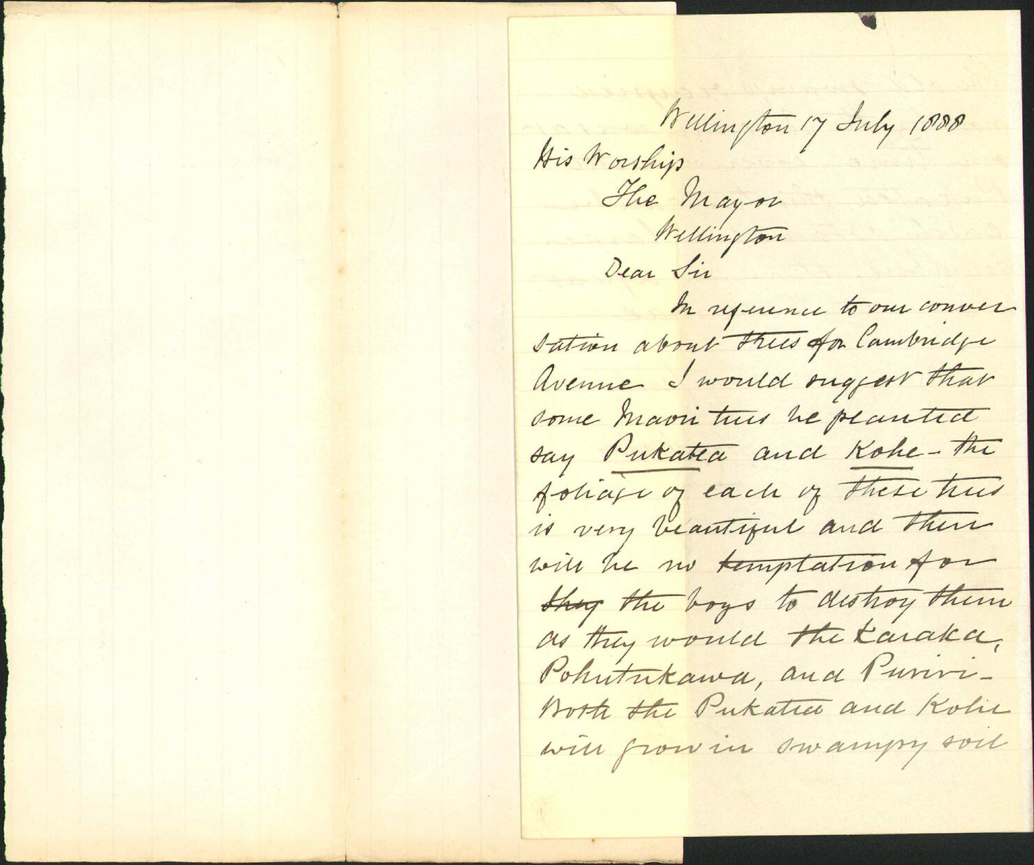 Native trees for Cambridge Terrace [Cambridge Avenue, now Fifeshire Avenue] - E Baker