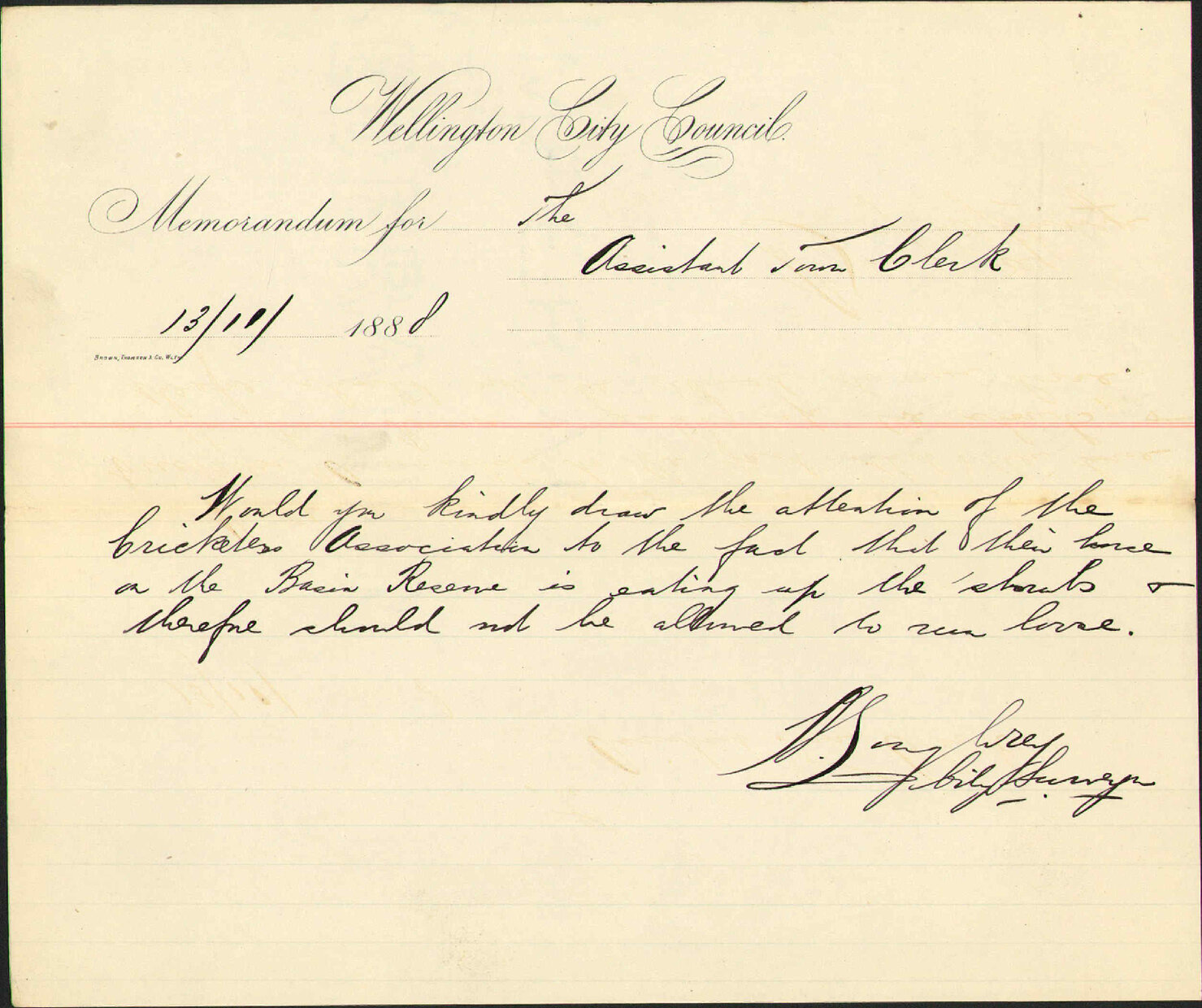 Basin Reserve - City Surveyor