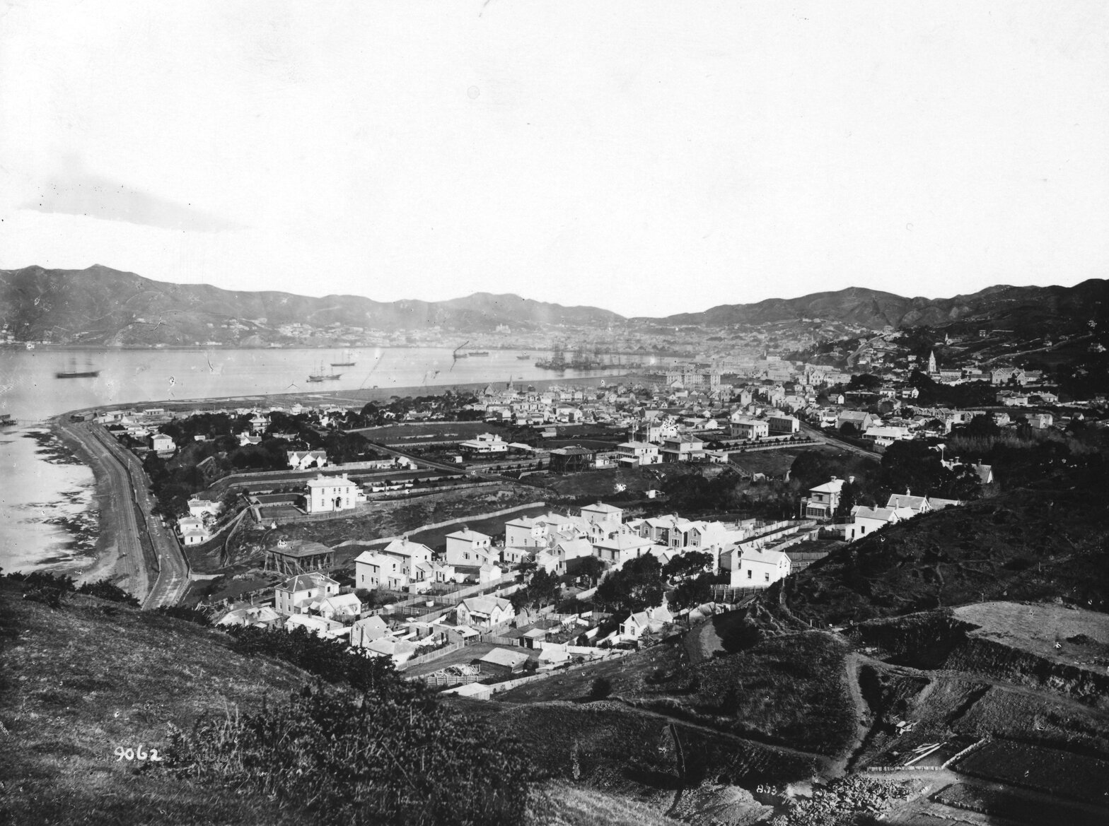 Thorndon