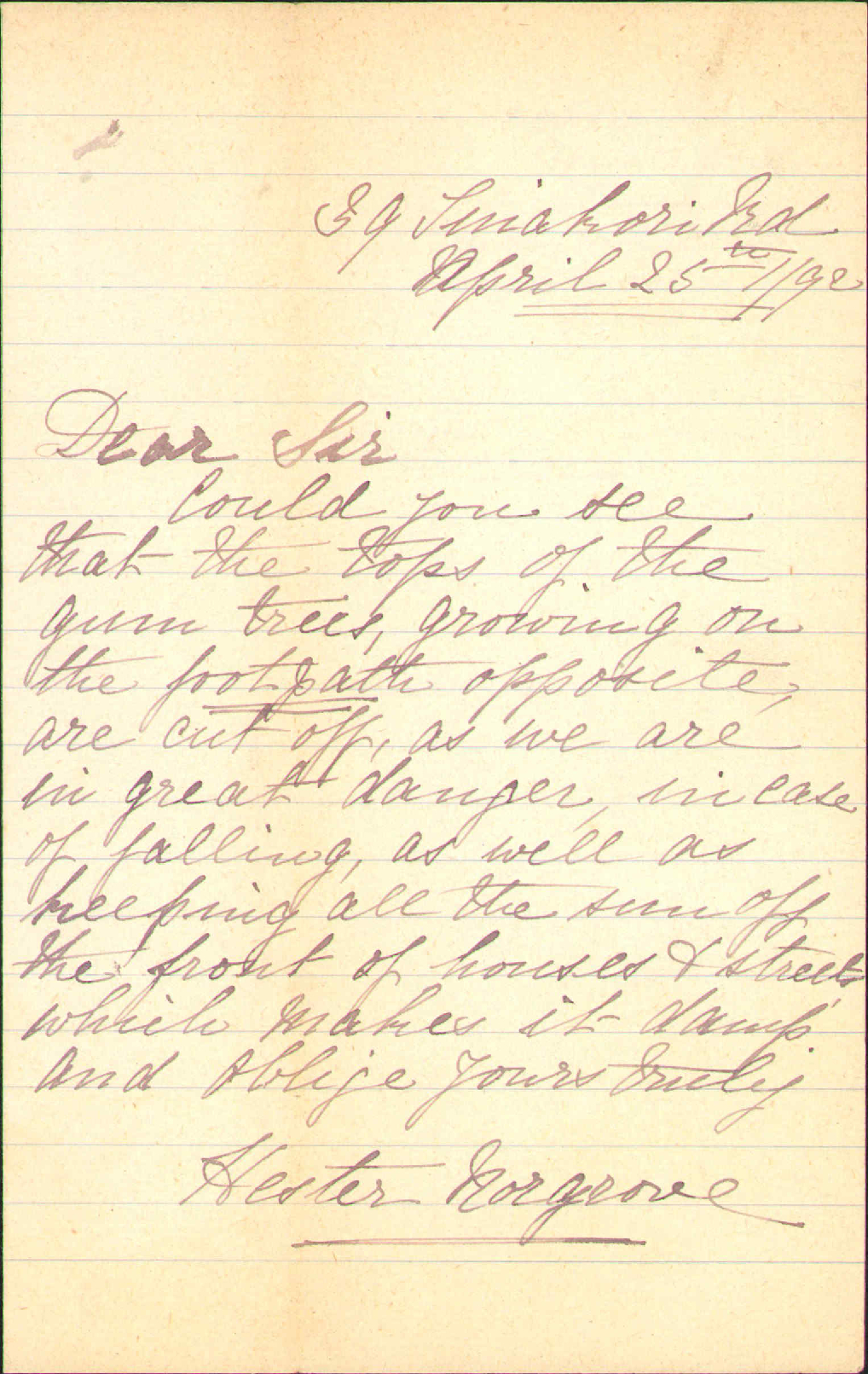 Asking for gum trees to be cut off at Tinakori Road - William Norgrove