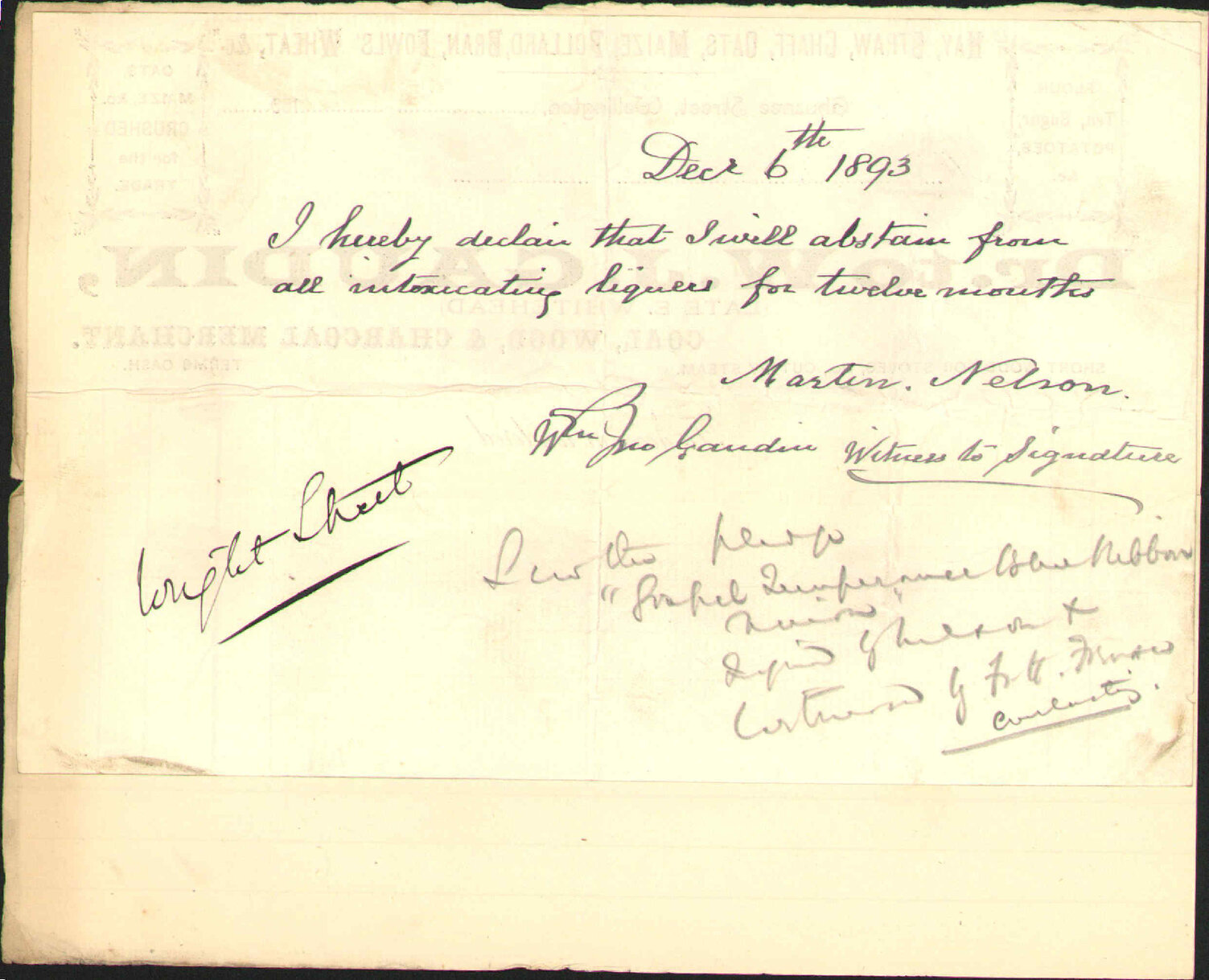Driver's license - Martin Nelson