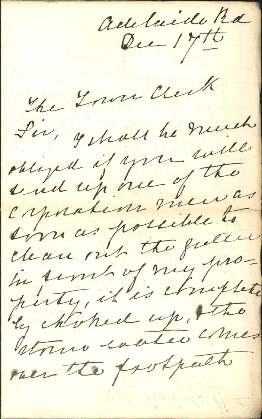 Footpath at her residence - Mrs Leckie