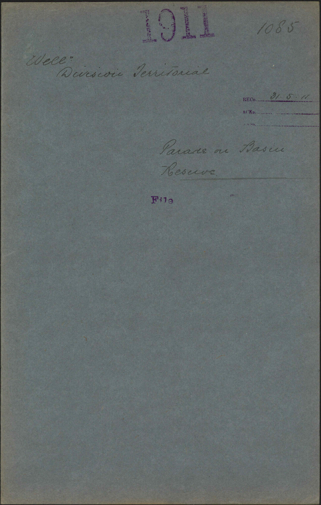 Parade on Basin Reserve - Wellington Division Territorial